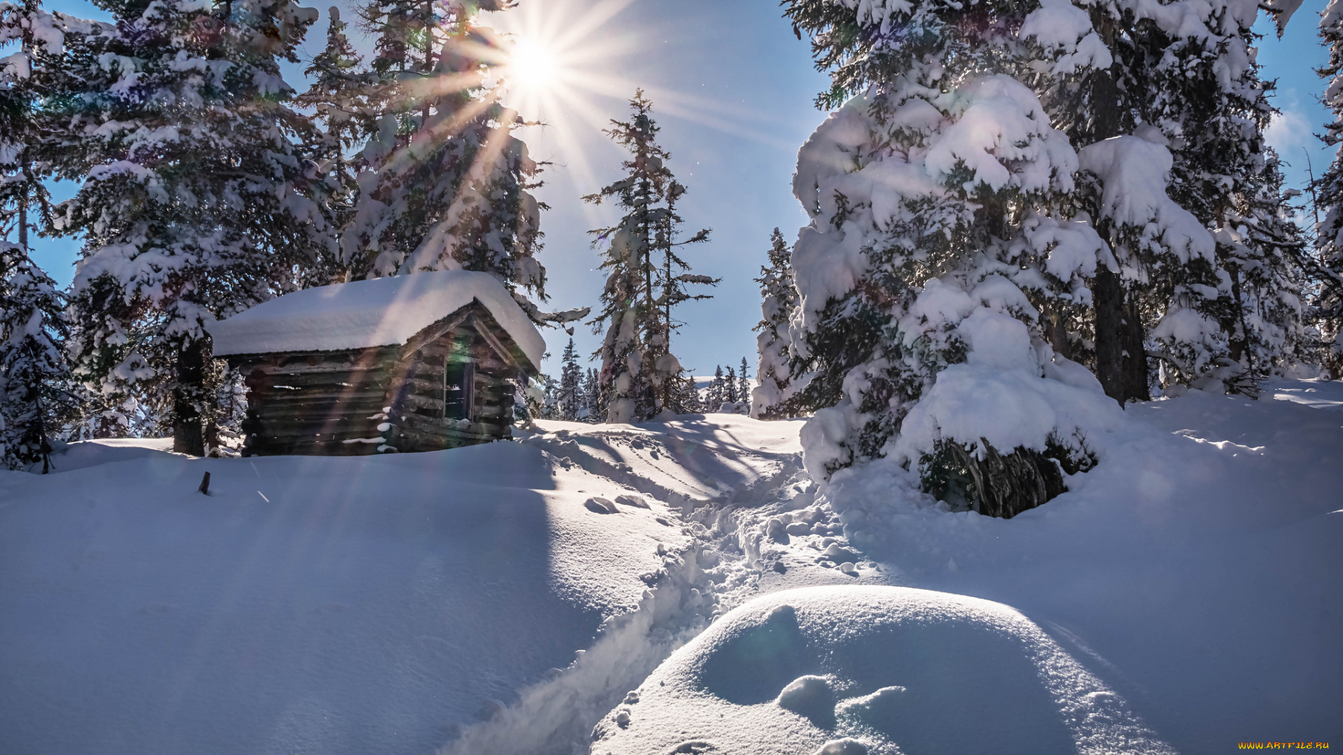 природа, зима, простор