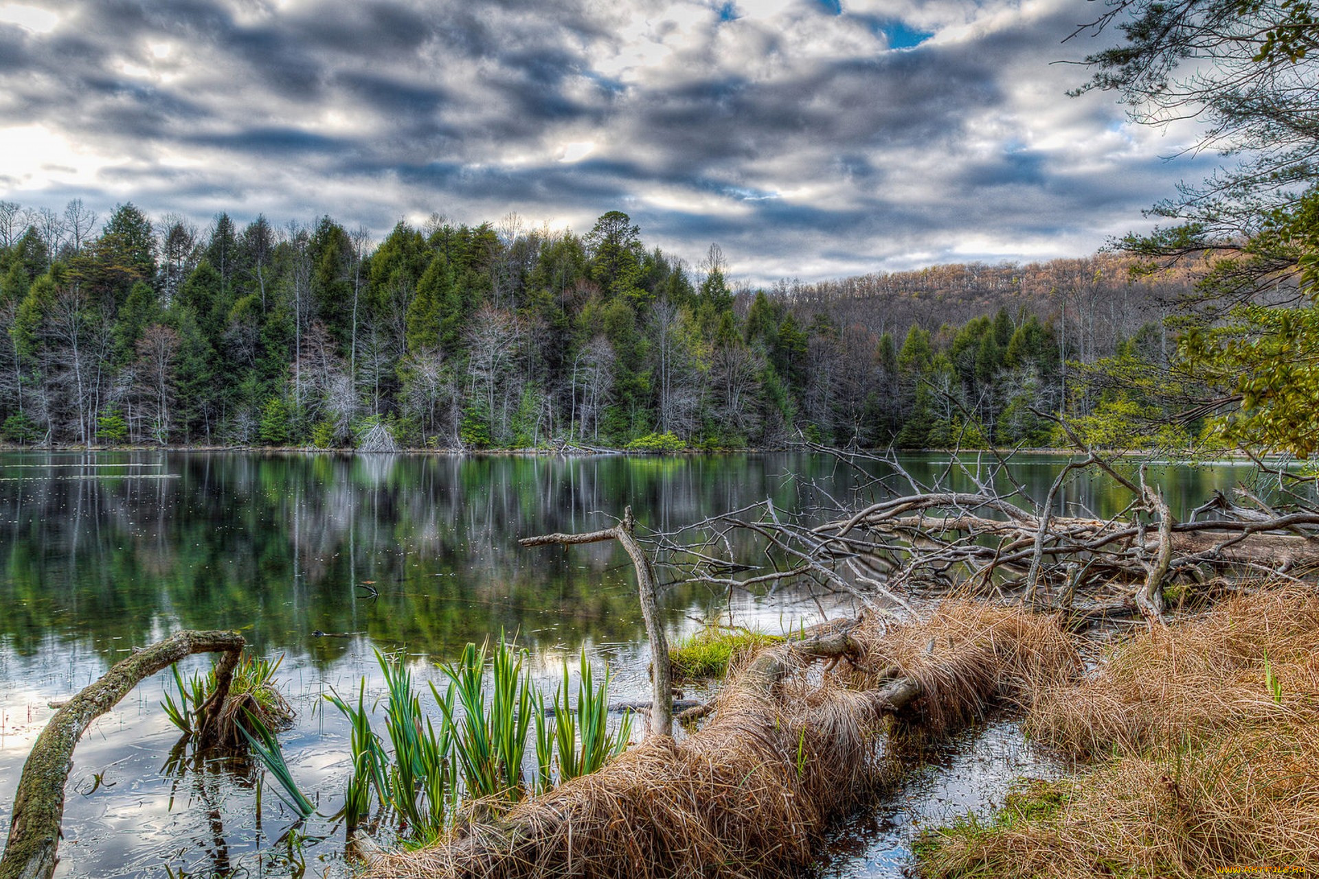природа, реки, озера, простор