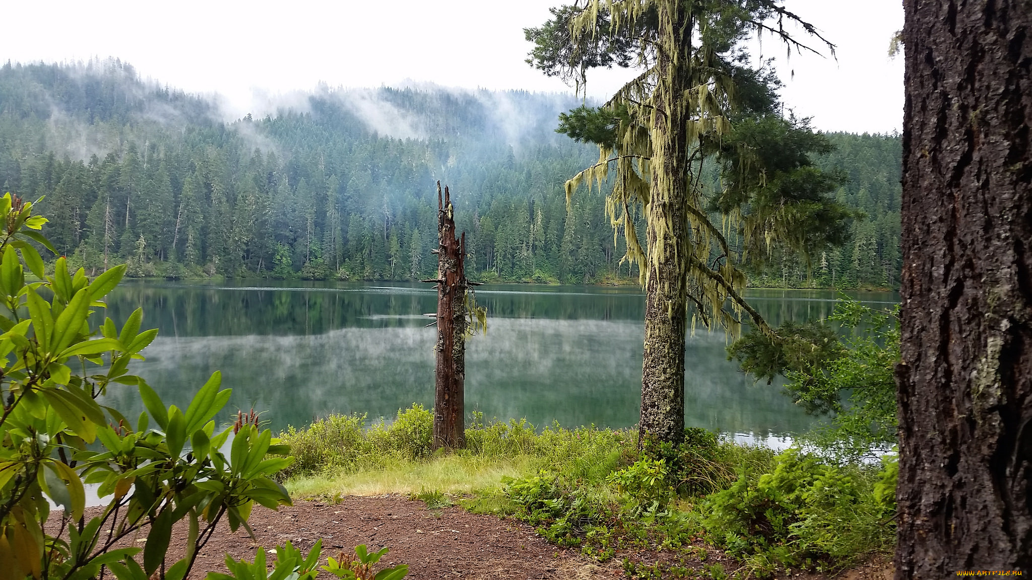 природа, реки, озера, простор