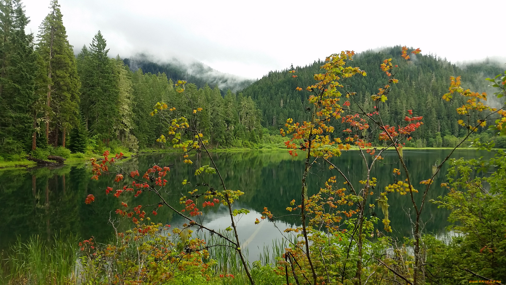 природа, реки, озера, простор