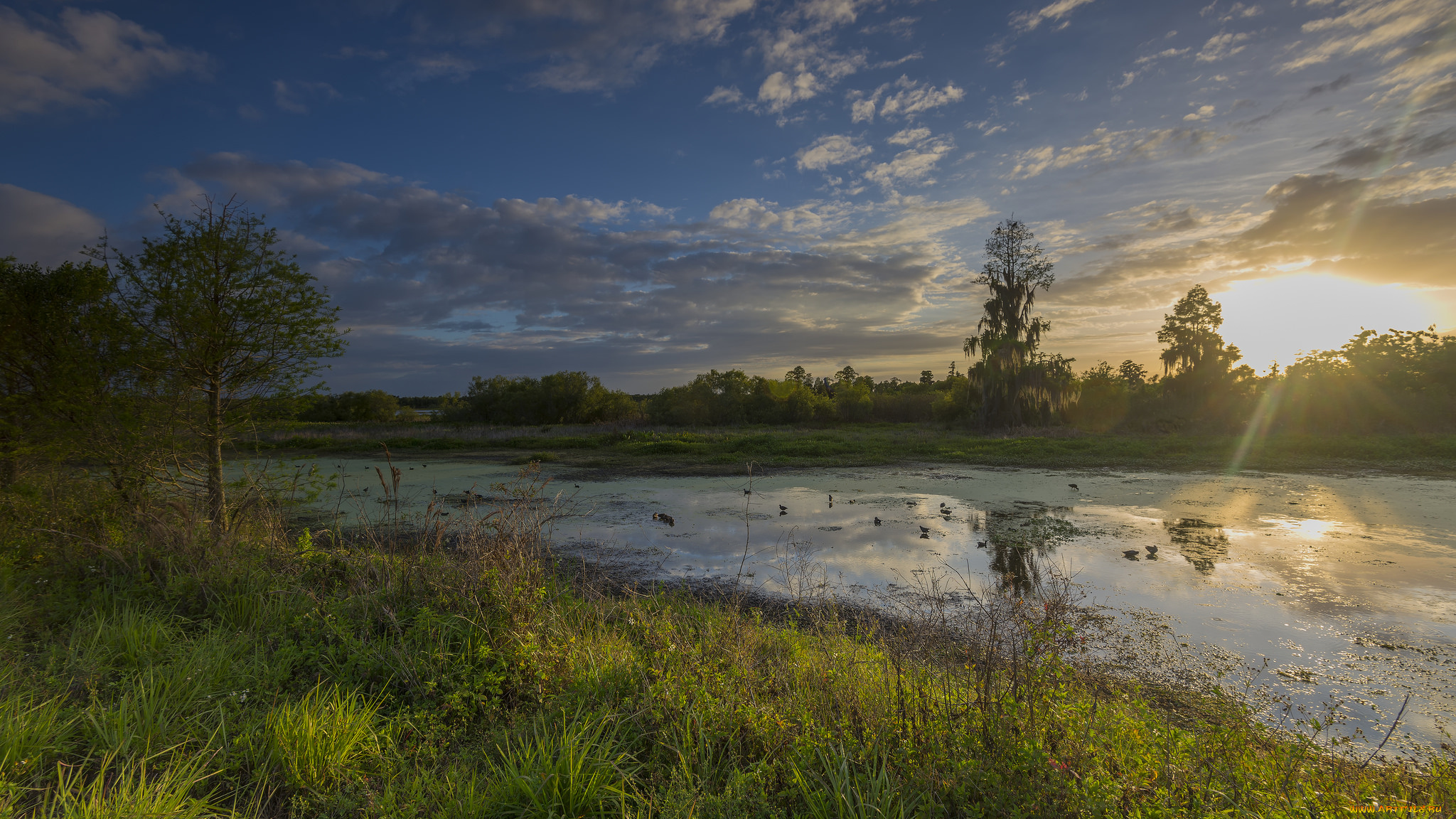природа, восходы, закаты, простор