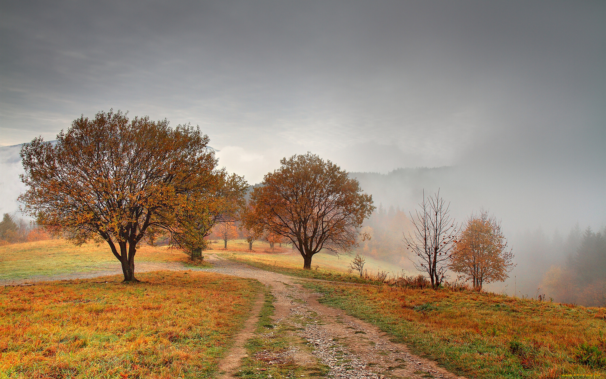 природа, дороги, простор