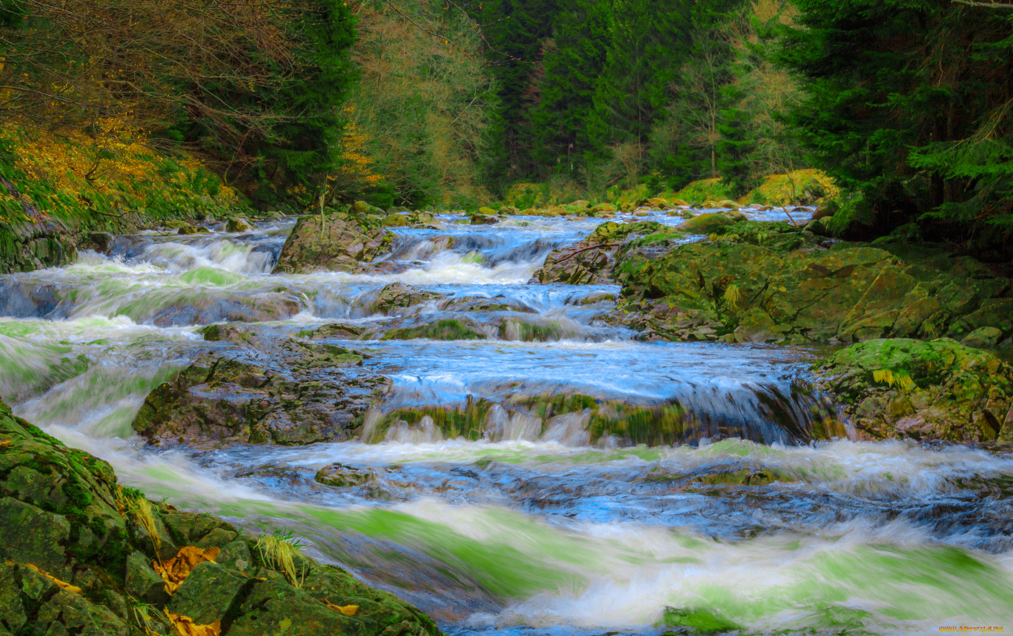 природа, реки, озера, простор