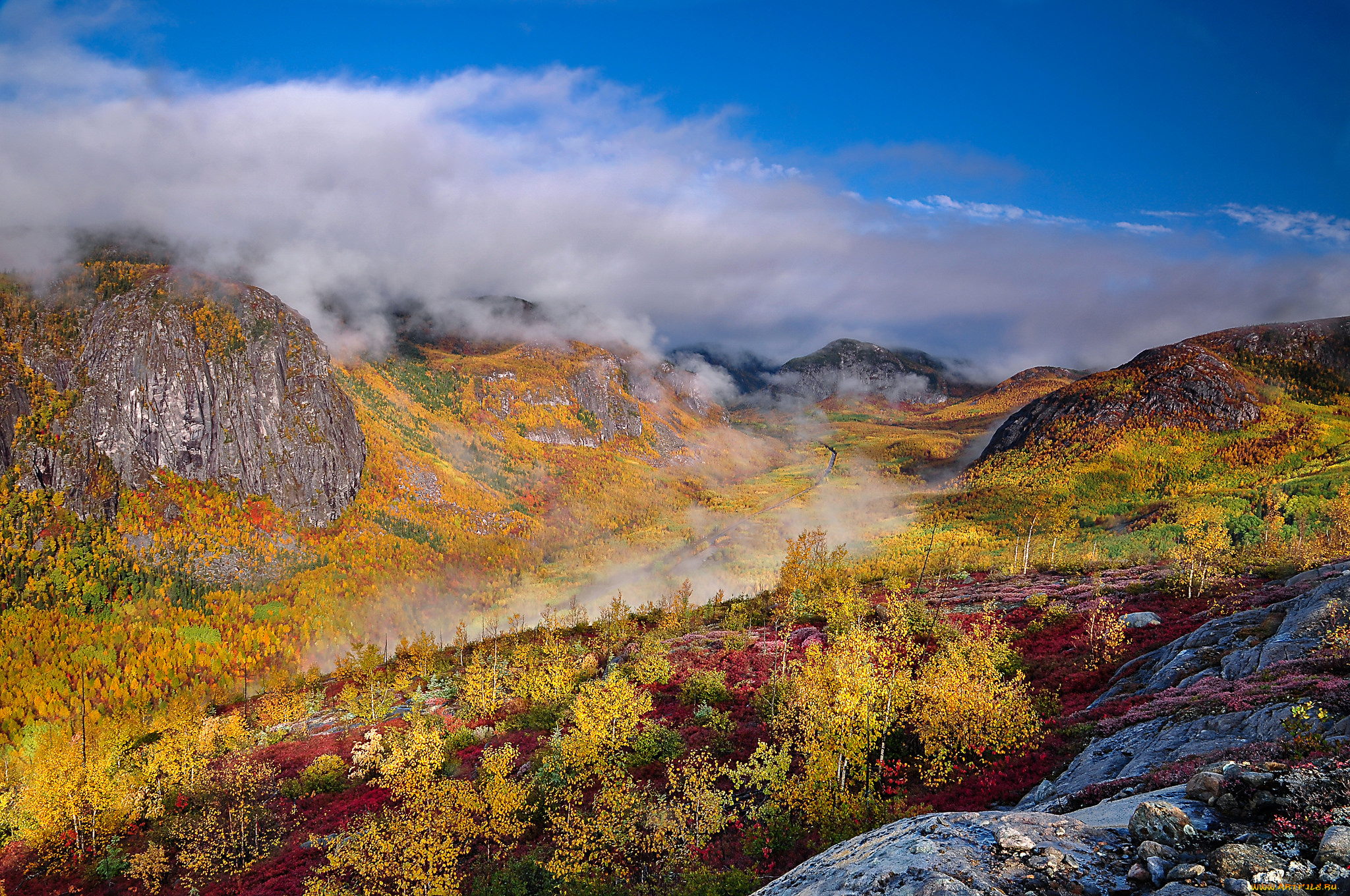 природа, горы, простор