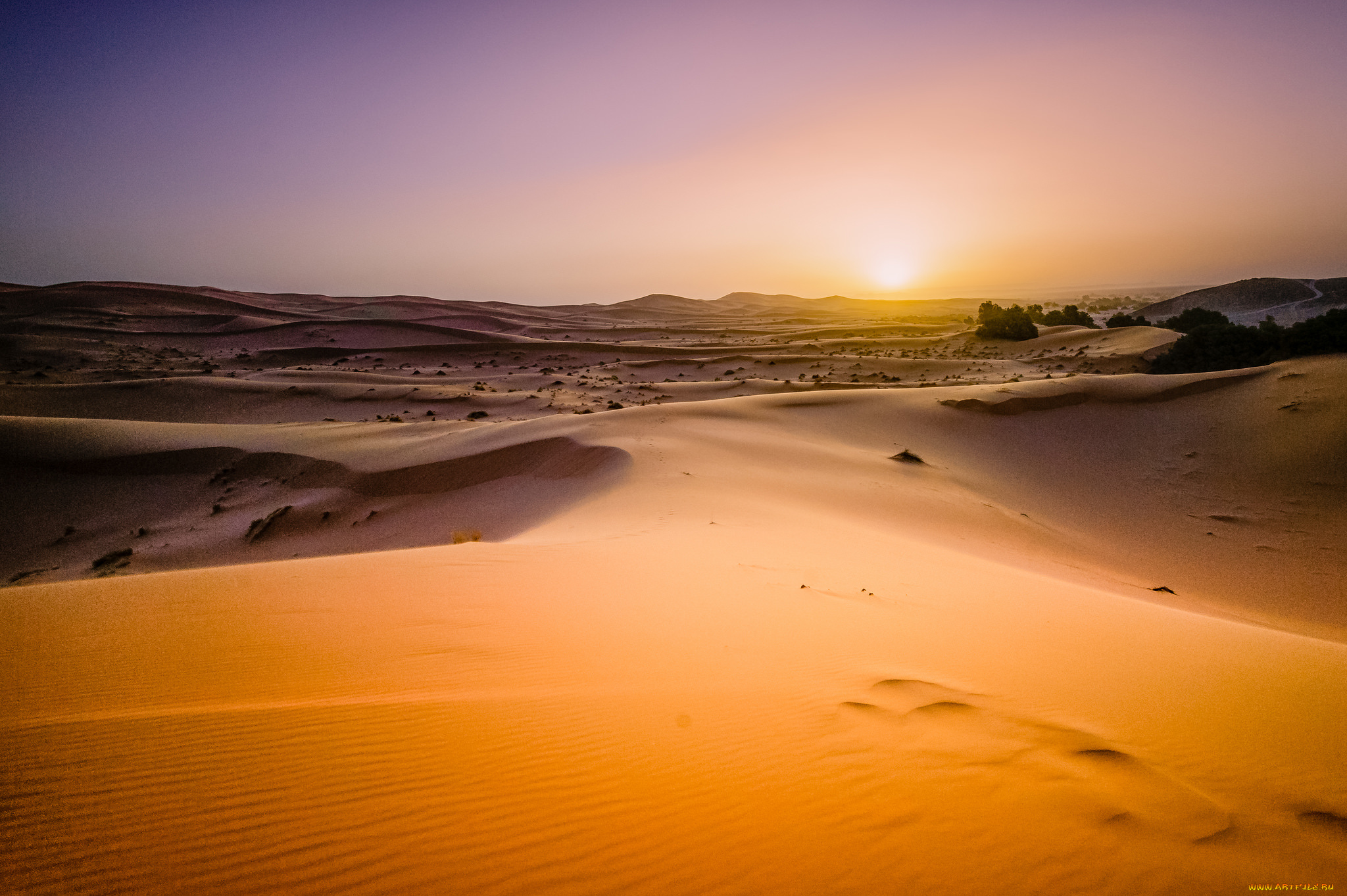 природа, пустыни, простор