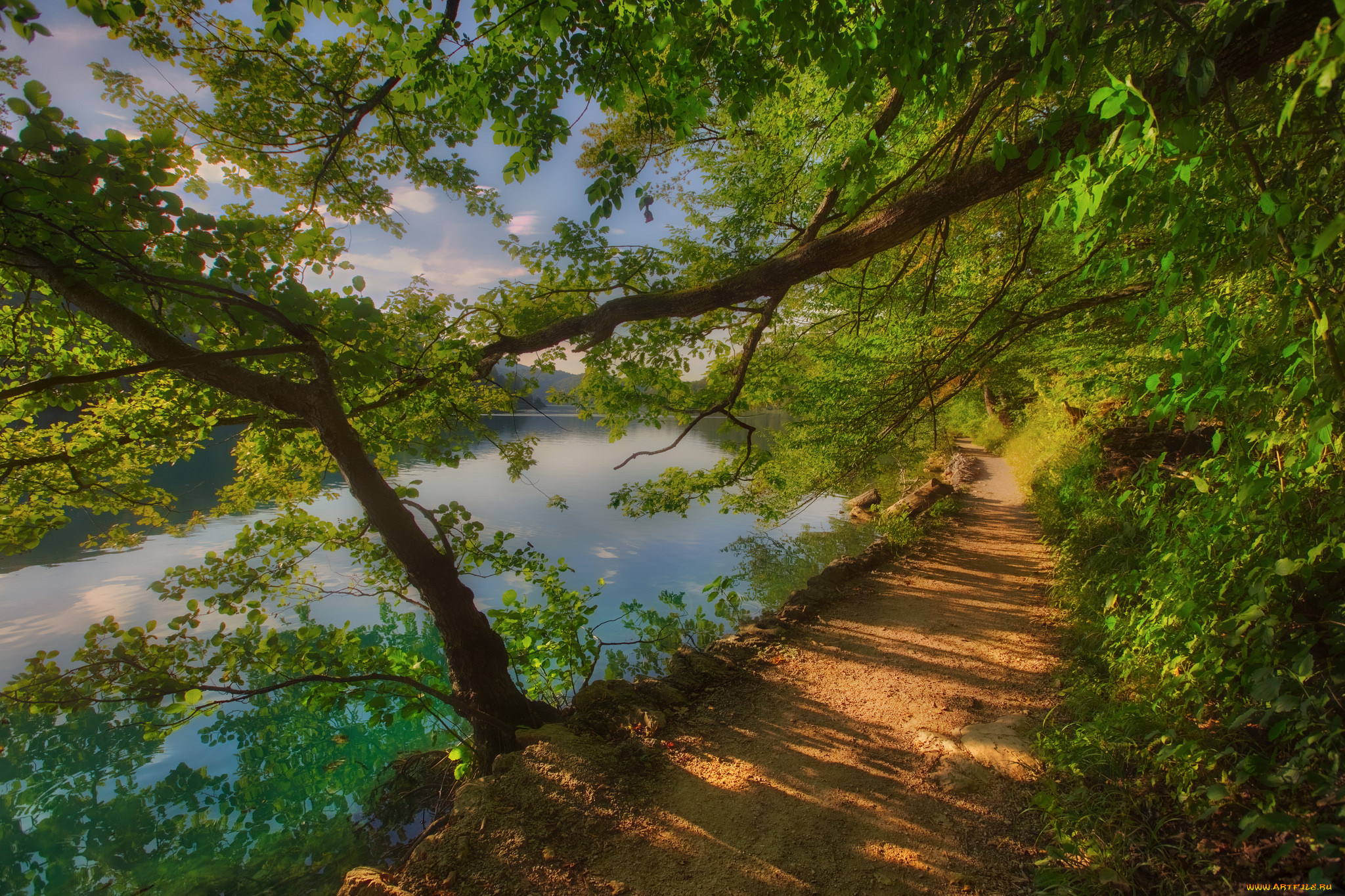 природа, дороги, простор