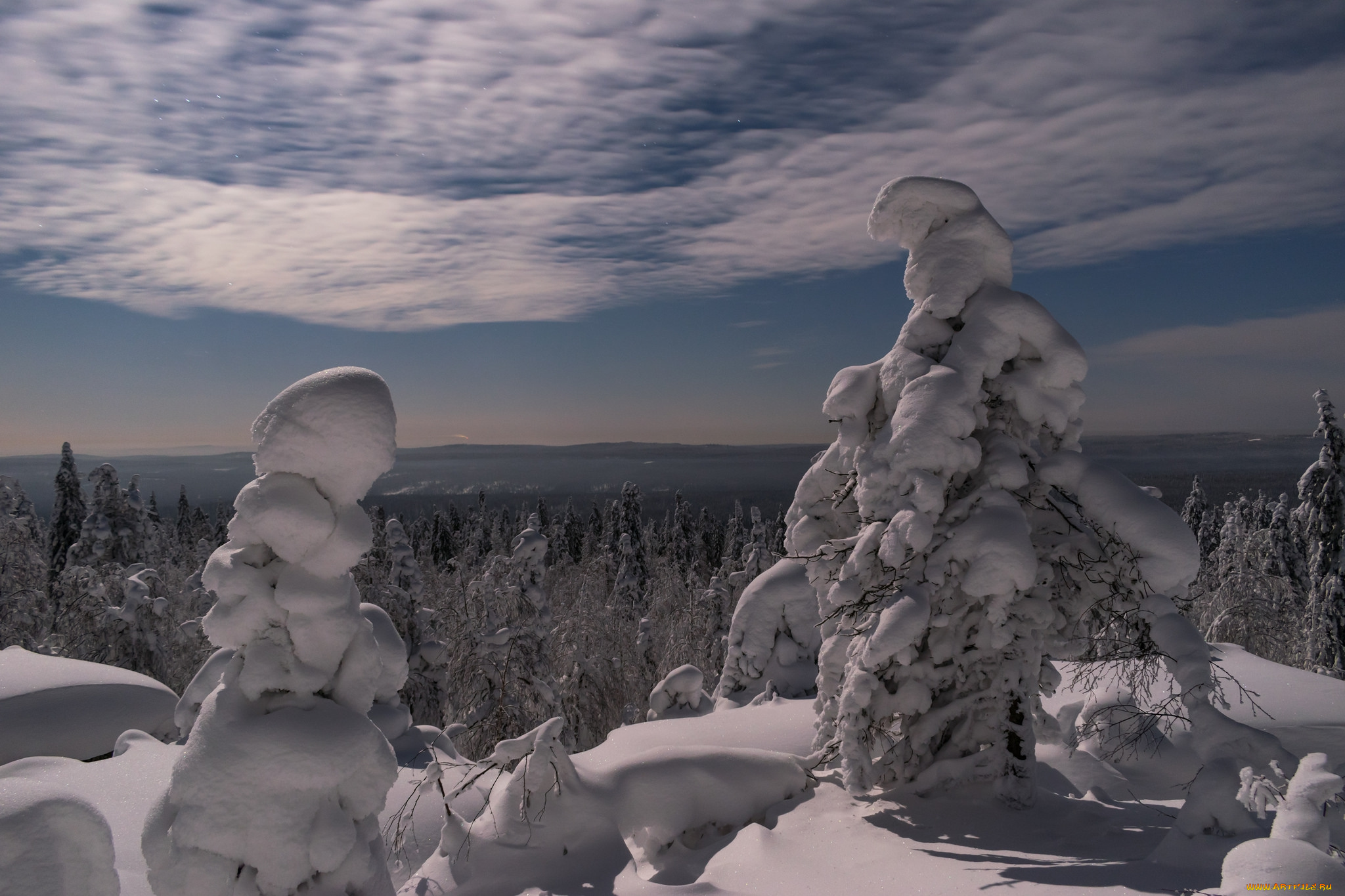 природа, зима, простор