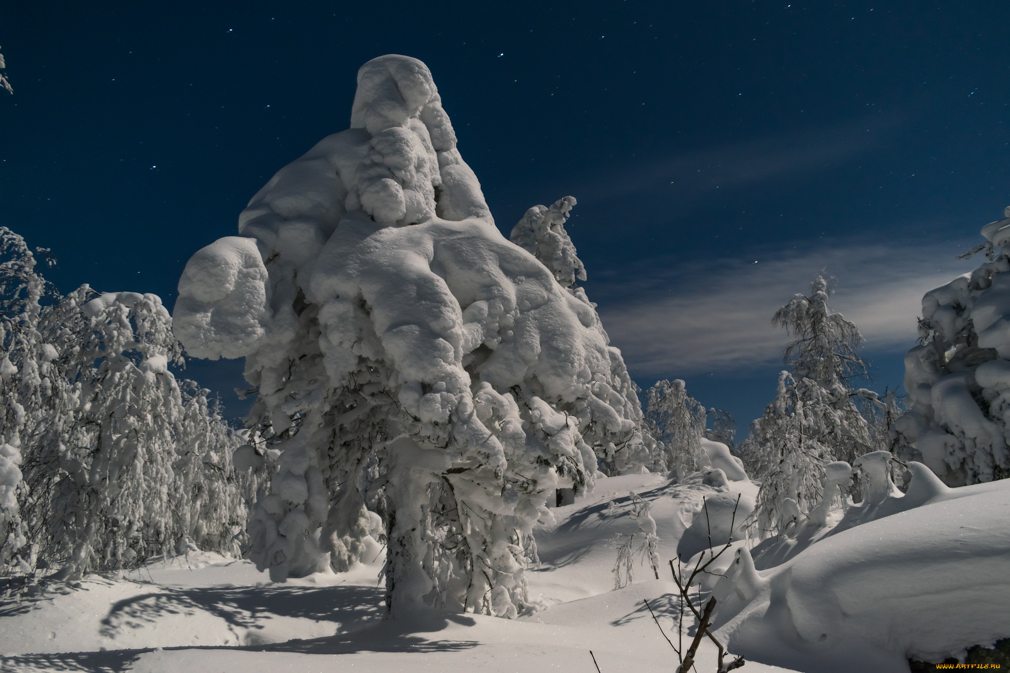 природа, зима, простор