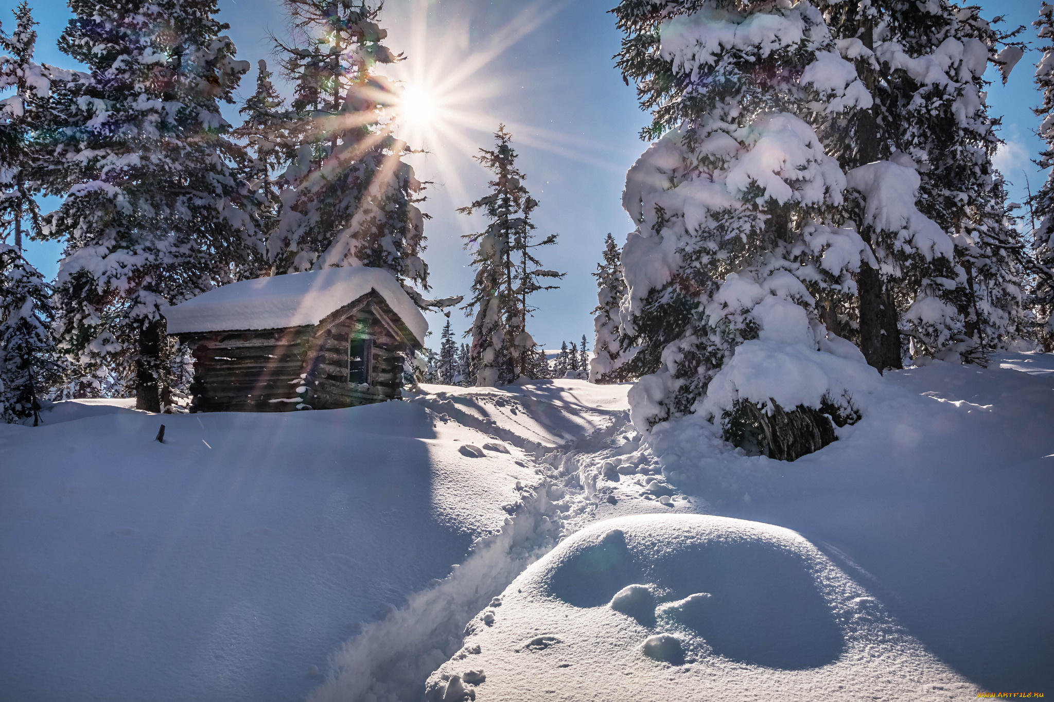 природа, зима, простор