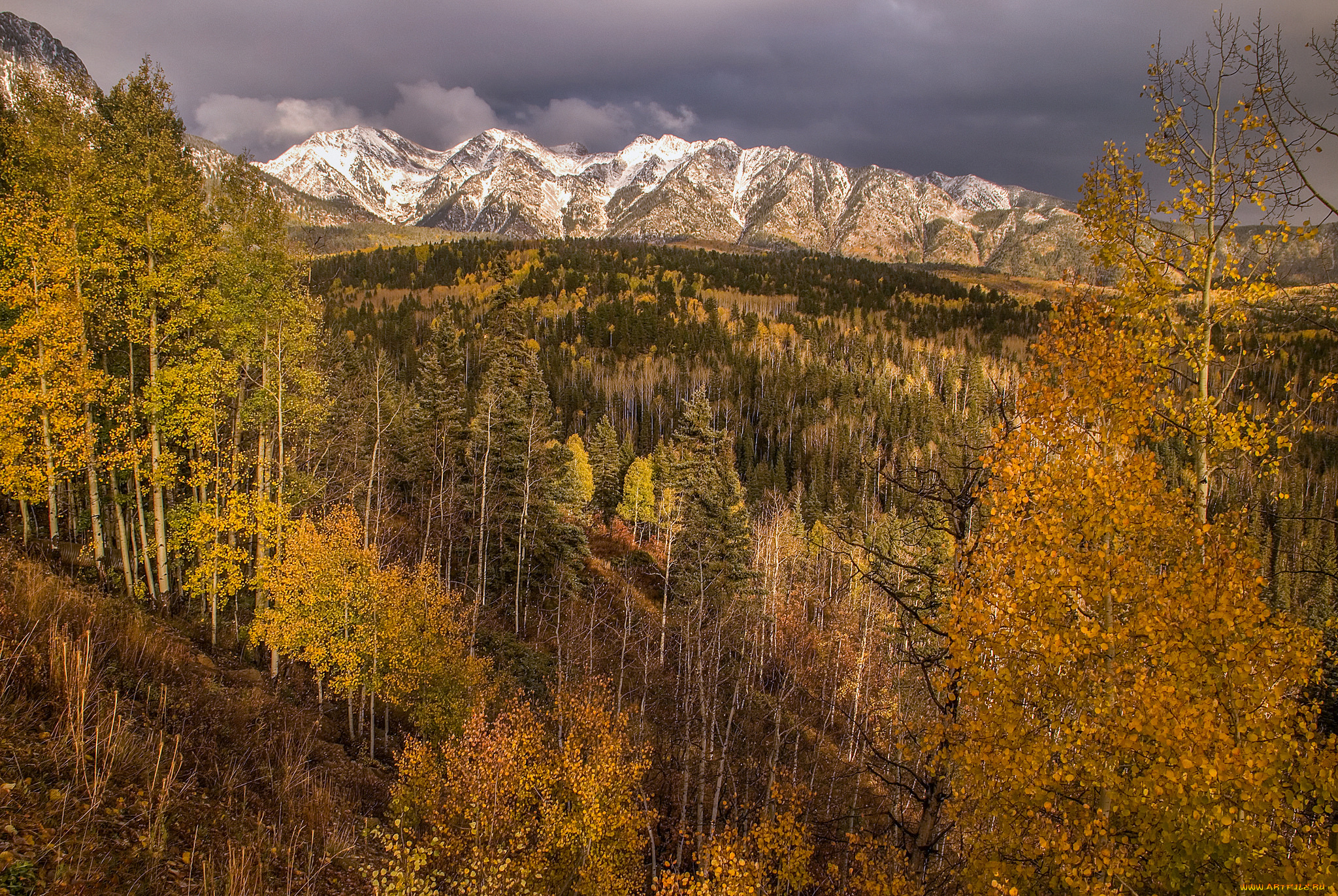 природа, горы, простор