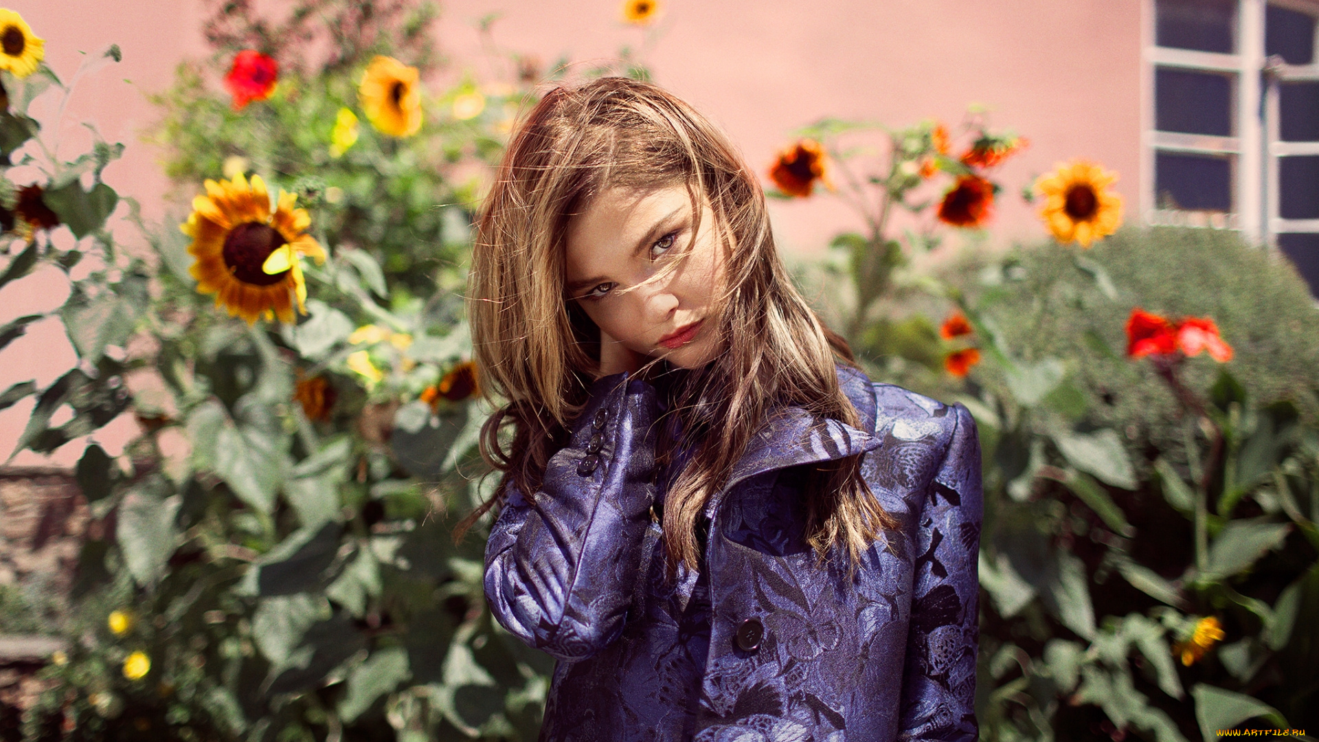 девушка, девушки, -unsort, , блондинки, , светловолосые, stefanie, scott, модель