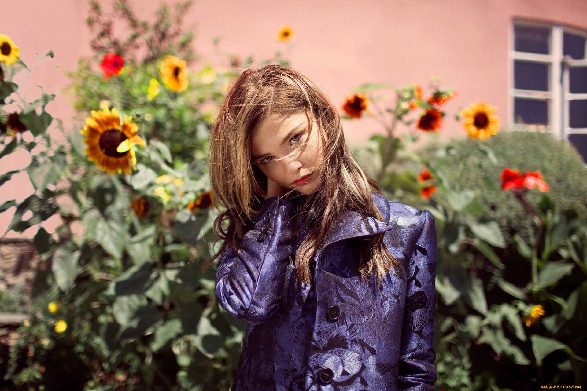 девушка, девушки, -unsort, , блондинки, , светловолосые, stefanie, scott, модель