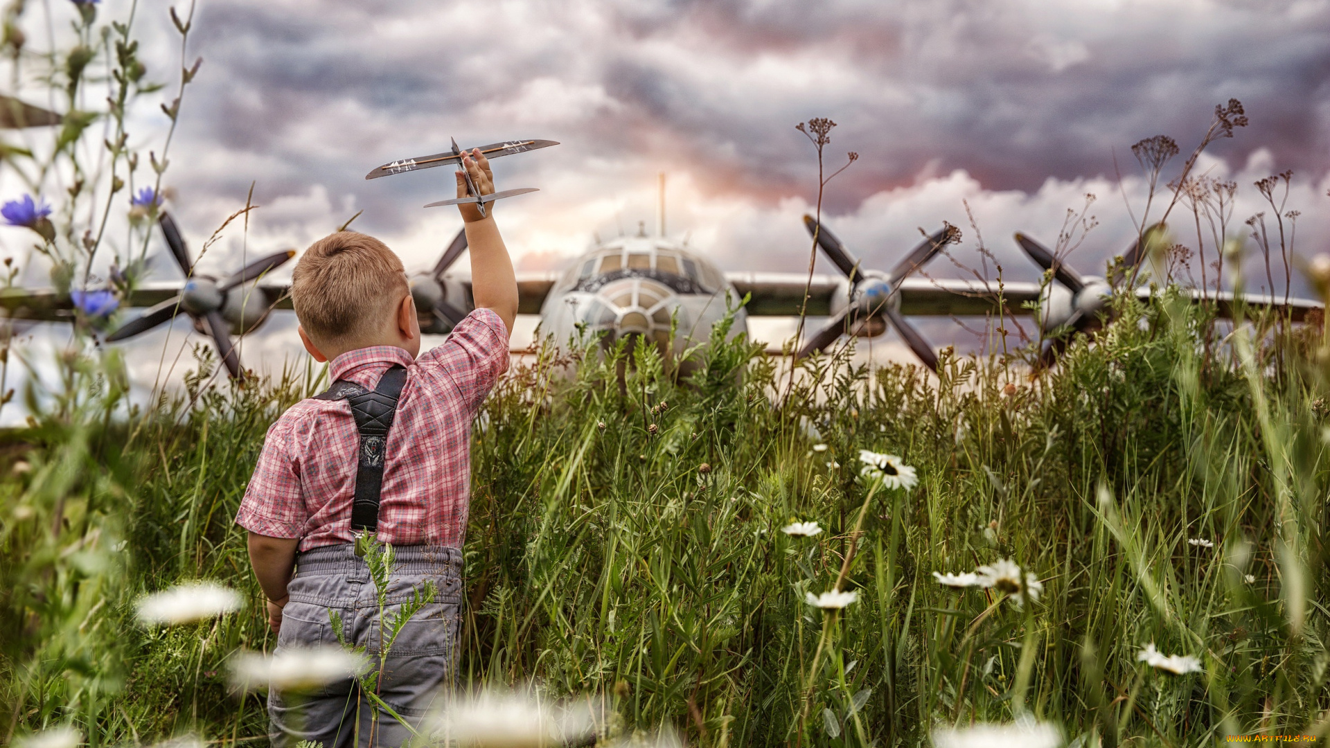 авиация, другое, трава