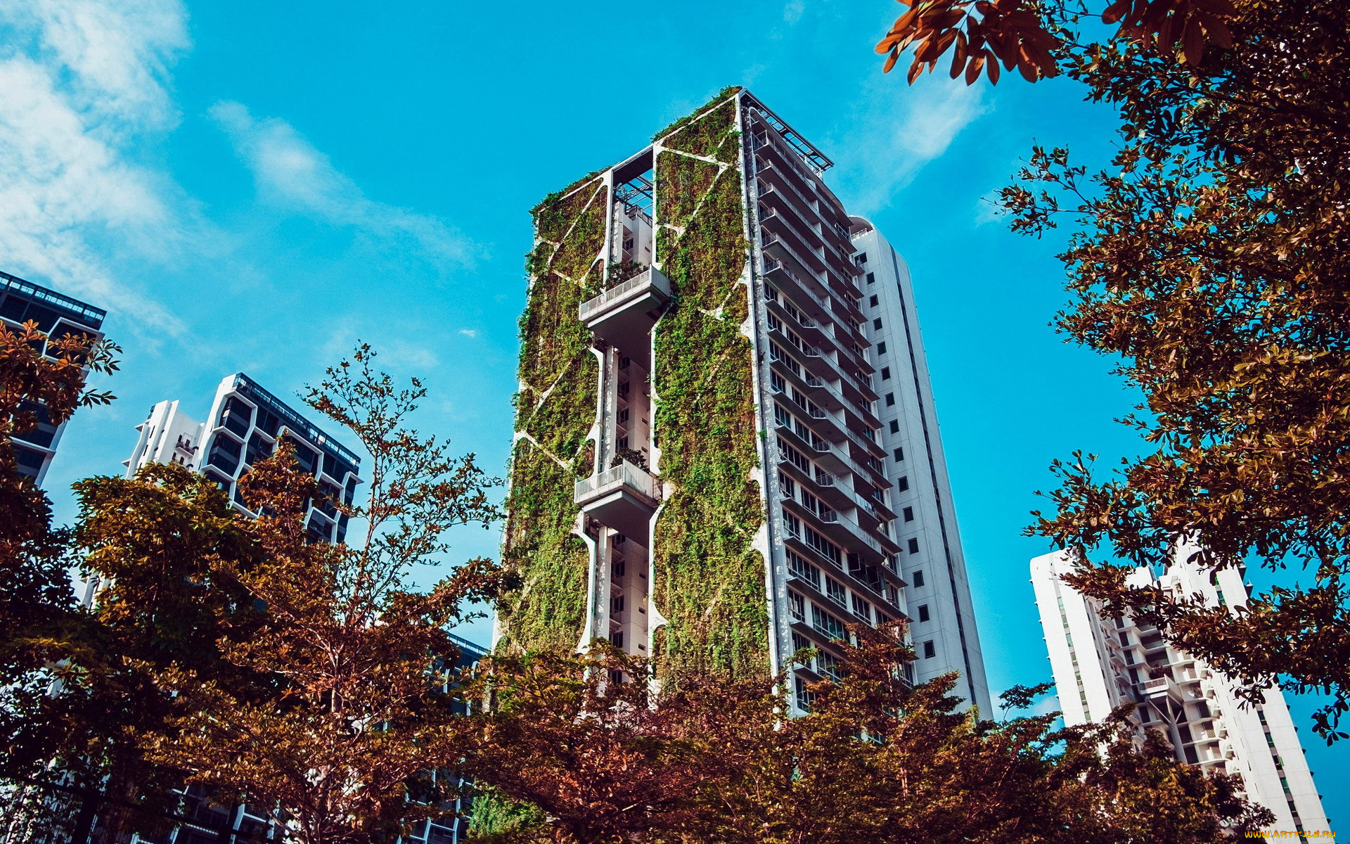 города, сингапур, , сингапур, многоэтажный, дом