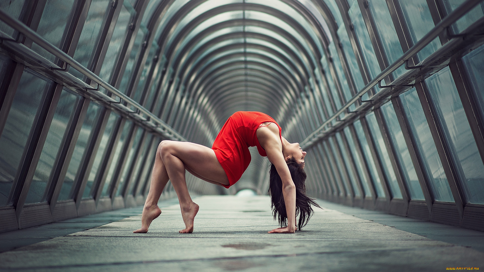 девушки, -, брюнетки, , шатенки, julie, marques