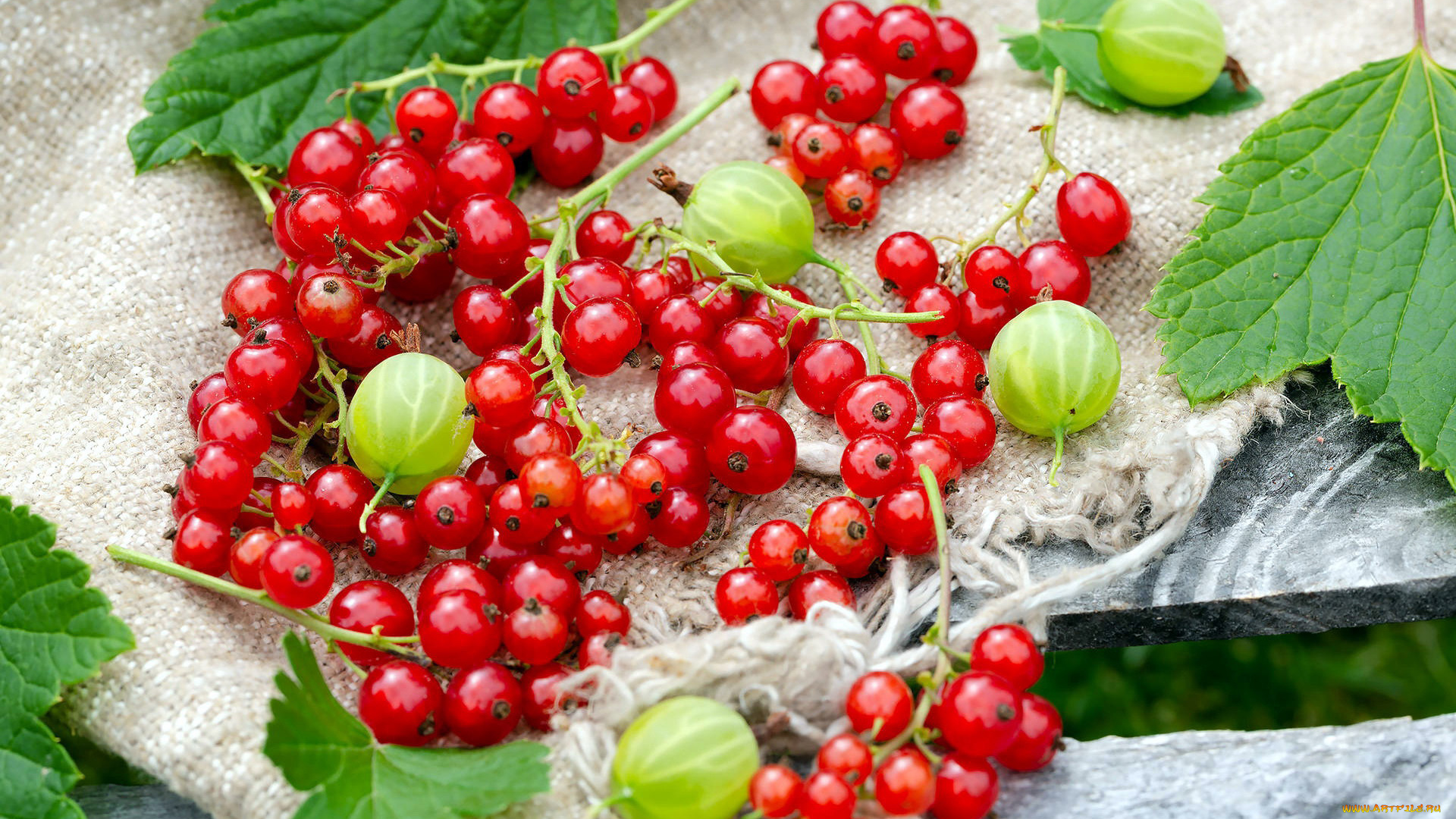 еда, фрукты, , ягоды, смородина, крыжовник