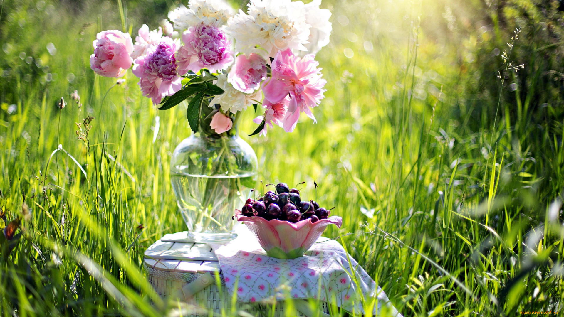еда, вишня, , черешня, пионы, черешня