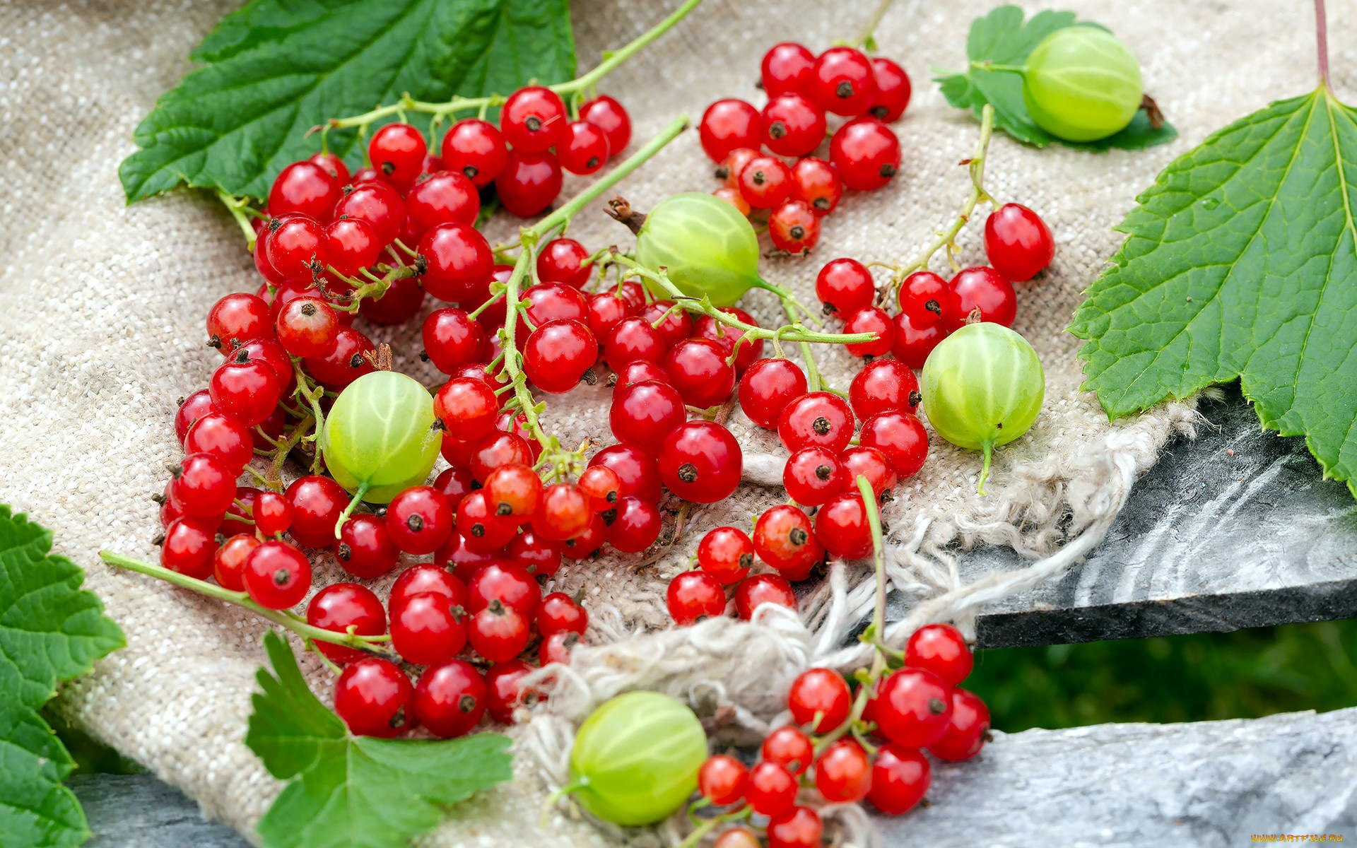 еда, фрукты, , ягоды, смородина, крыжовник