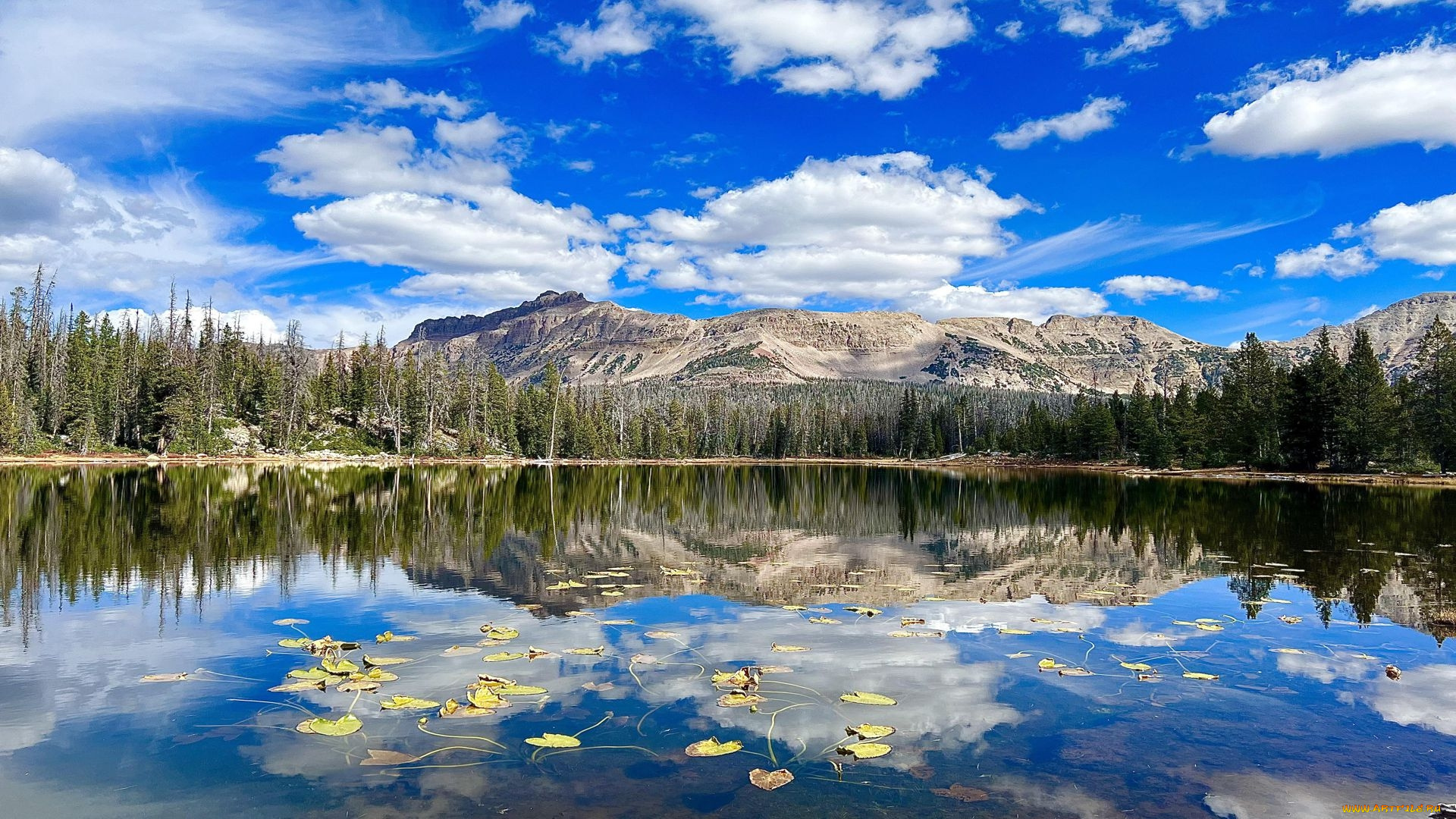 bonnie, lake, utah, природа, реки, озера, bonnie, lake