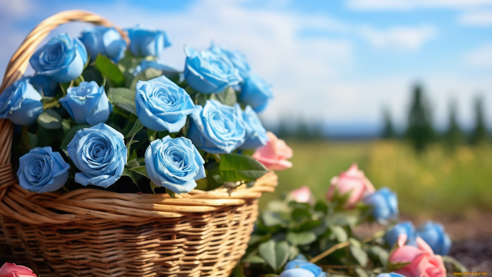 3д, графика, цветы, , flowers, цветы, розы, бутоны, pink, beautiful, roses, buds