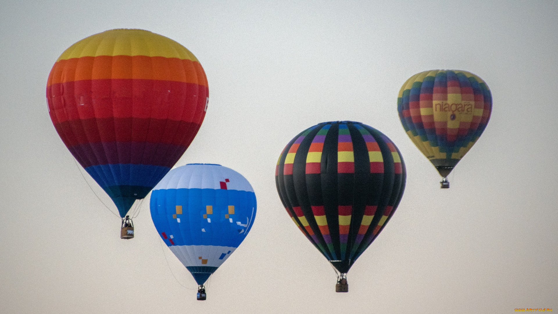 авиация, воздушные, шары, дирижабли, albuquerque, balloon, festival