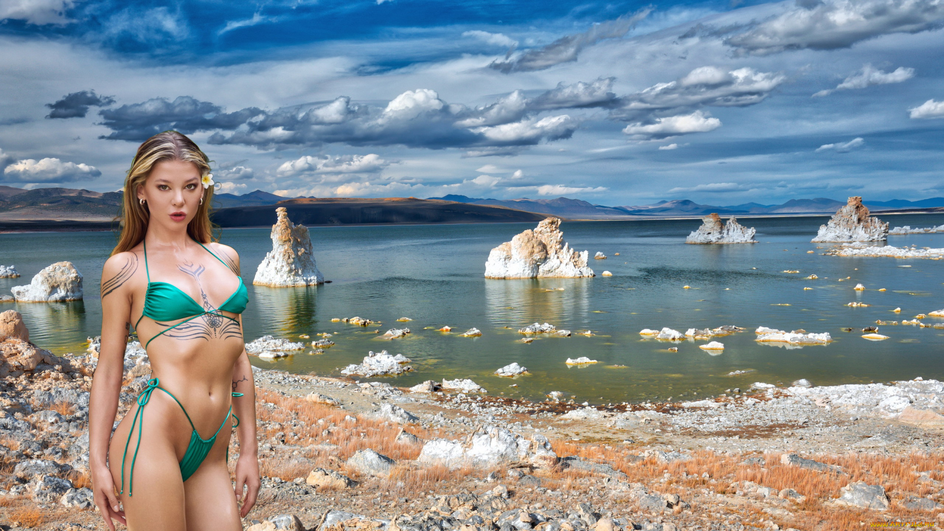 девушки, -, блондинки, , светловолосые, блондинка, бикини, поза, тату