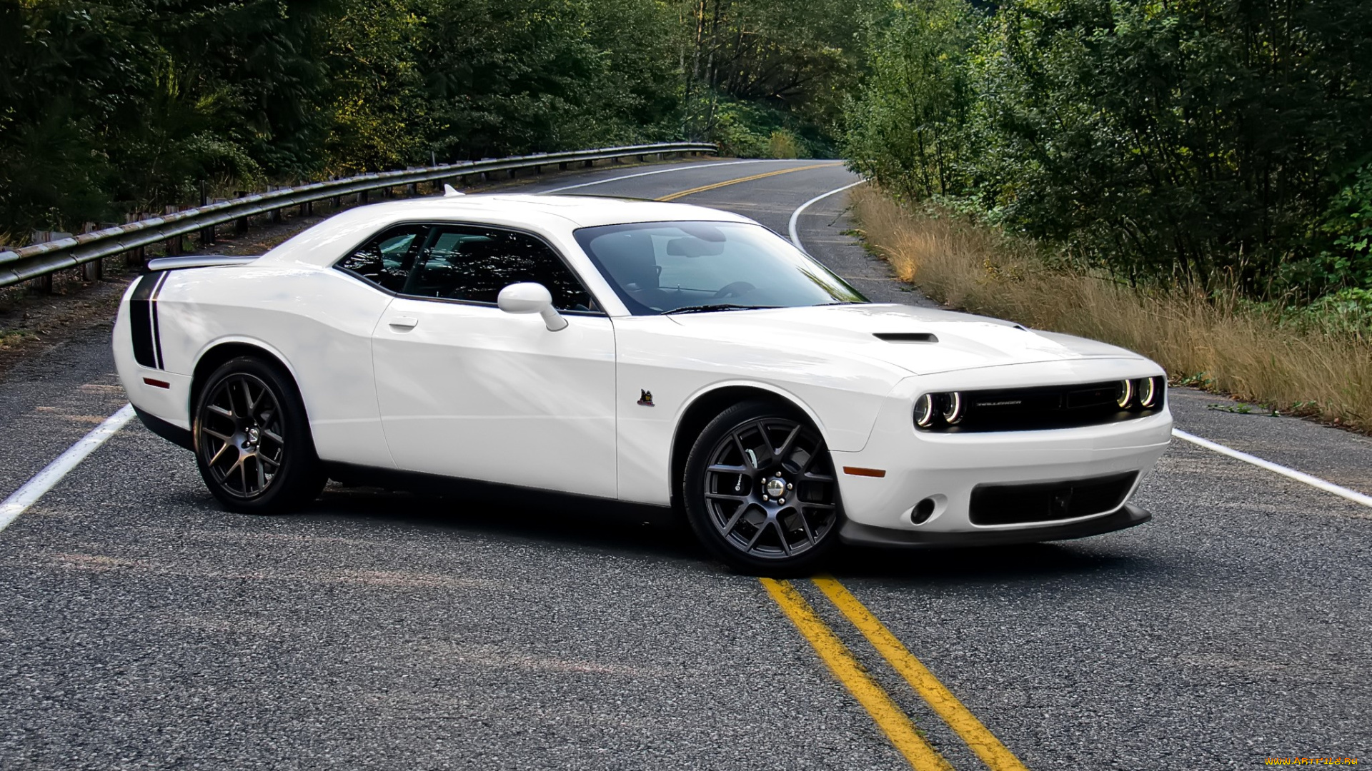 dodge, challenger, автомобили, dodge, белый, дорога, лес