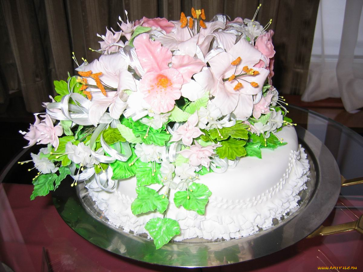 еда, торт, только