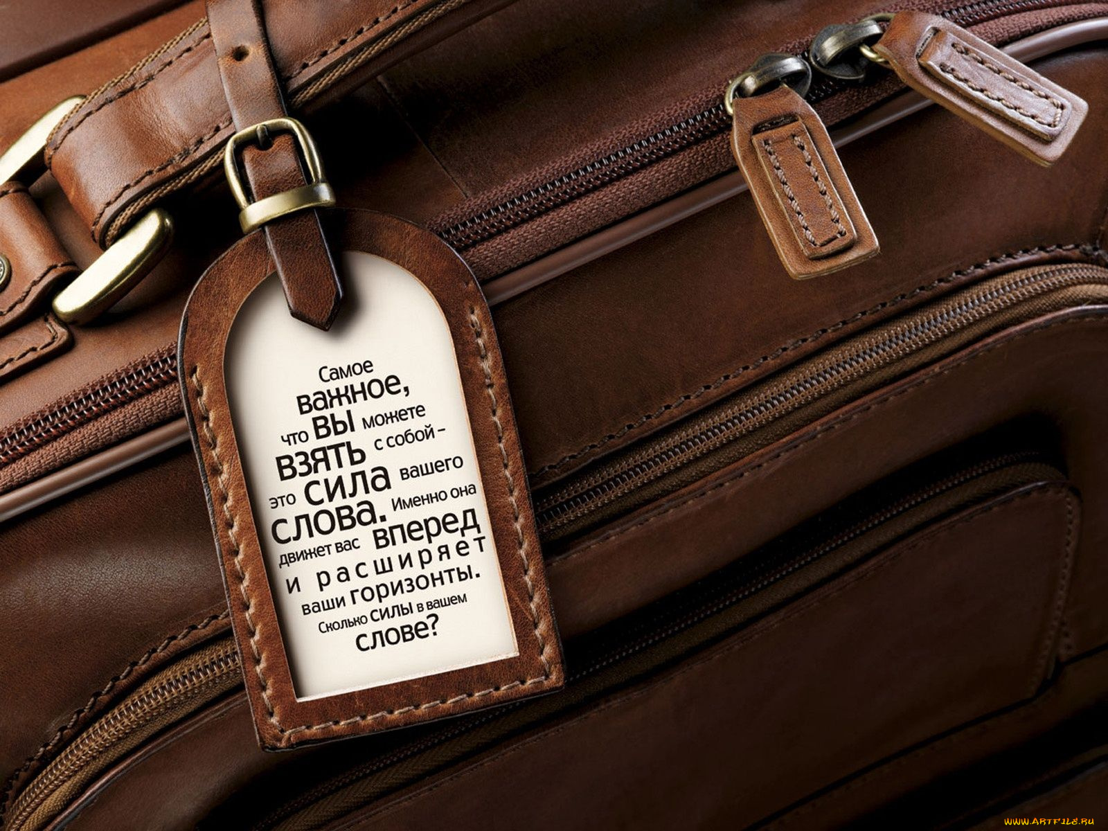 разное, сумки, кошельки, зонты