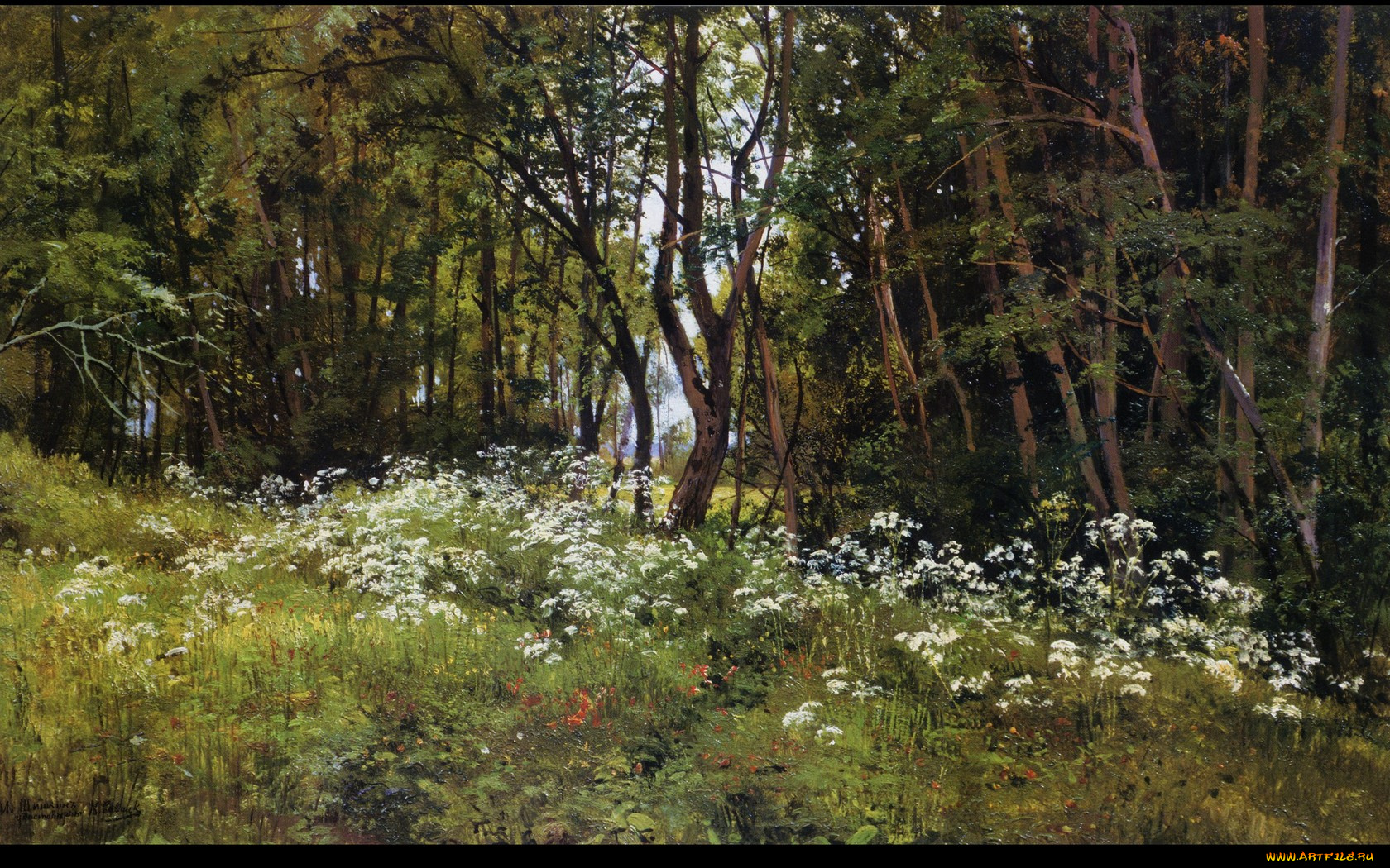 цветы, на, опушке, шишкин, рисованные, живопись