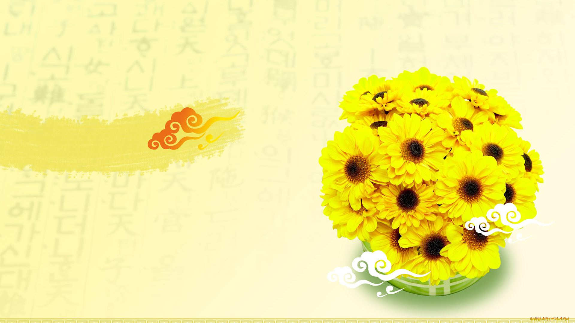 цветы, хризантемы