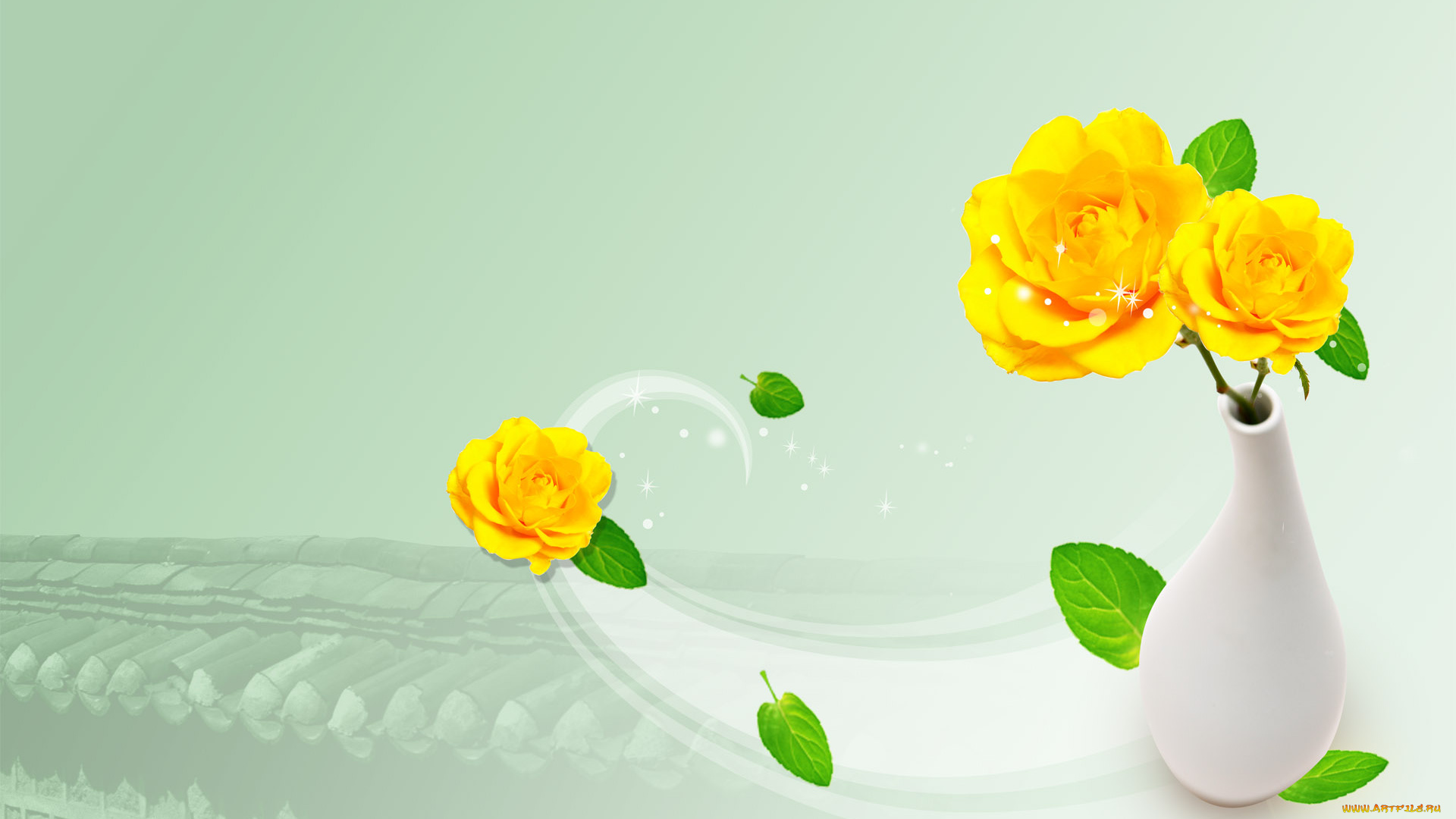 цветы, розы