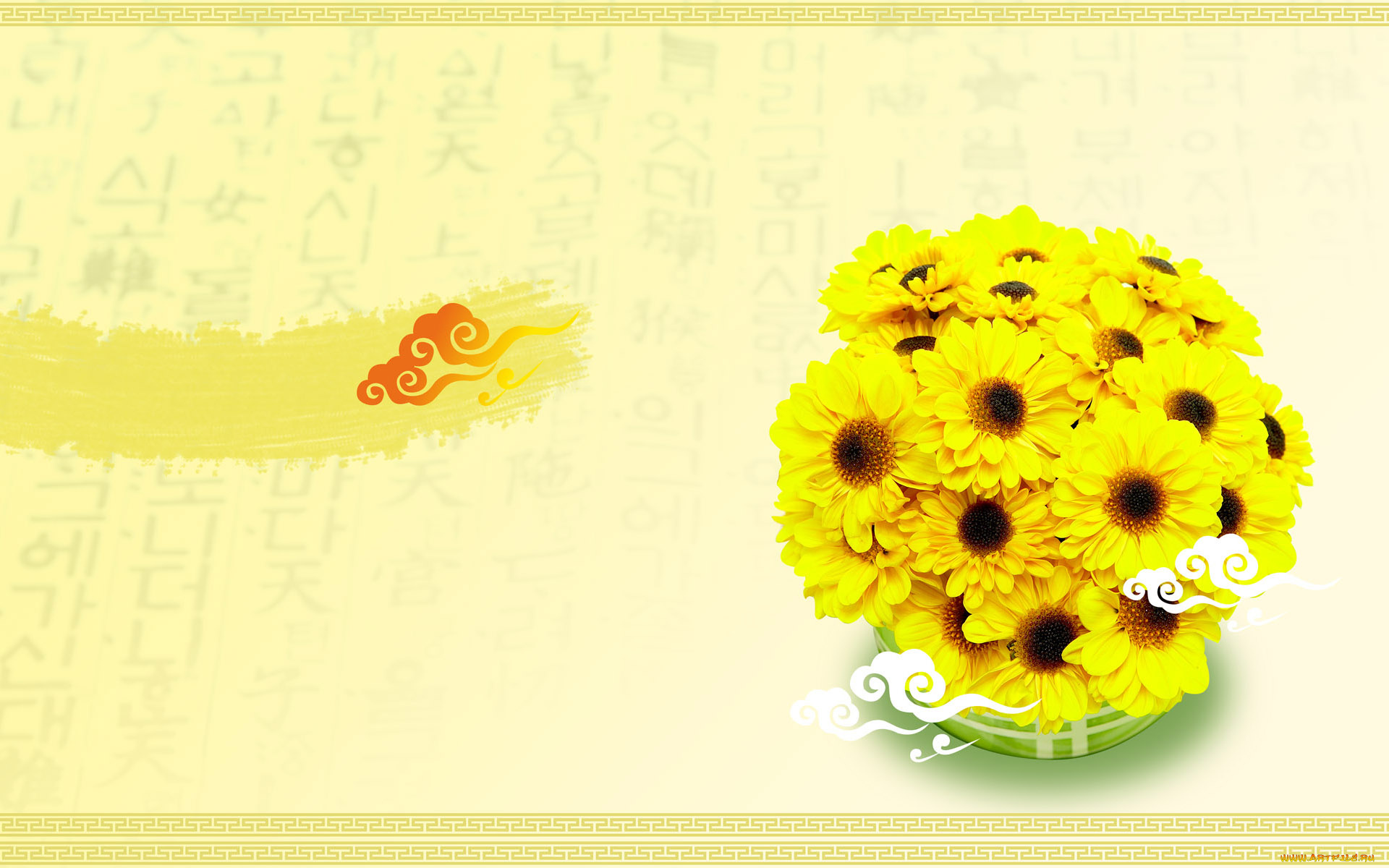 цветы, хризантемы