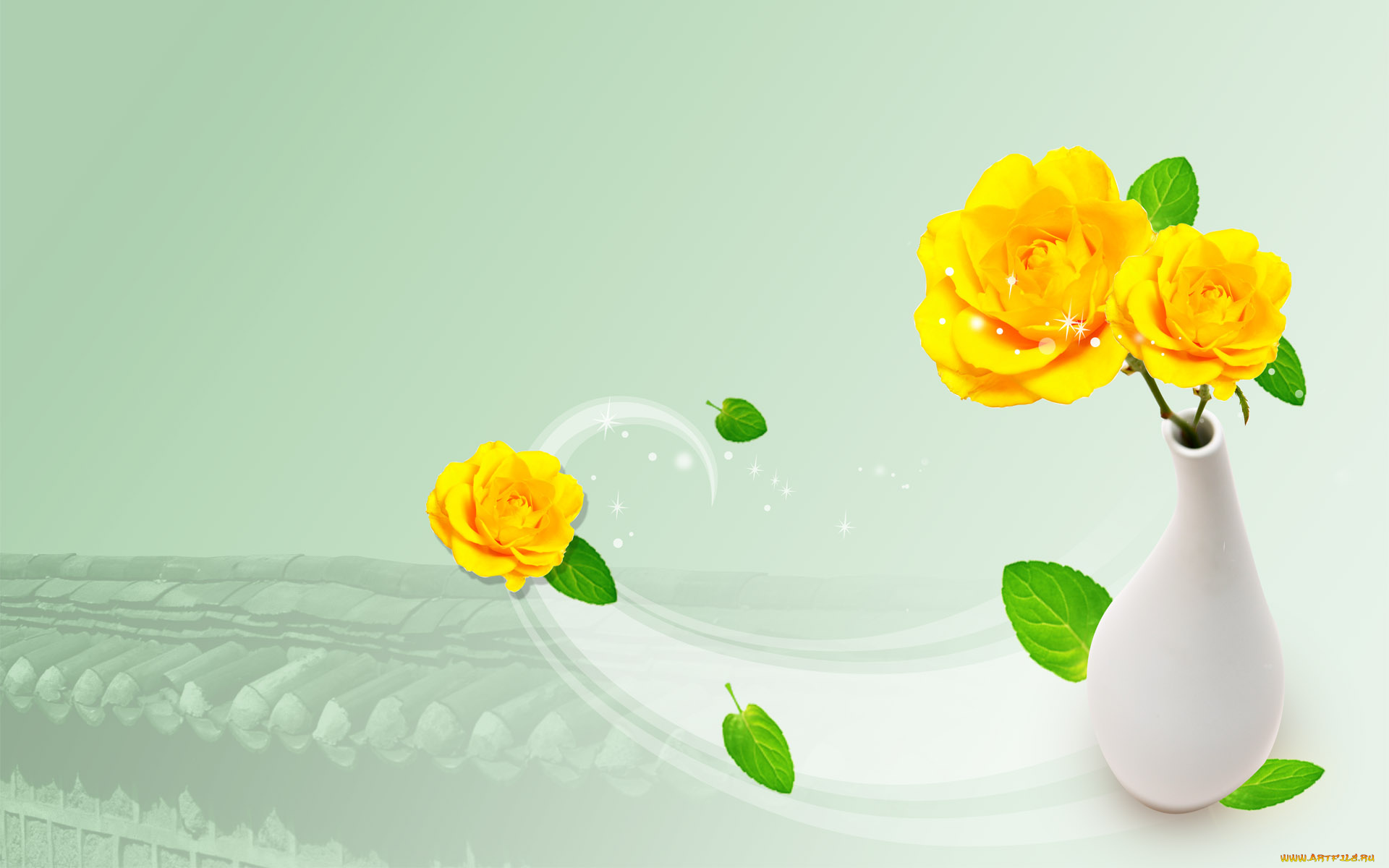 цветы, розы