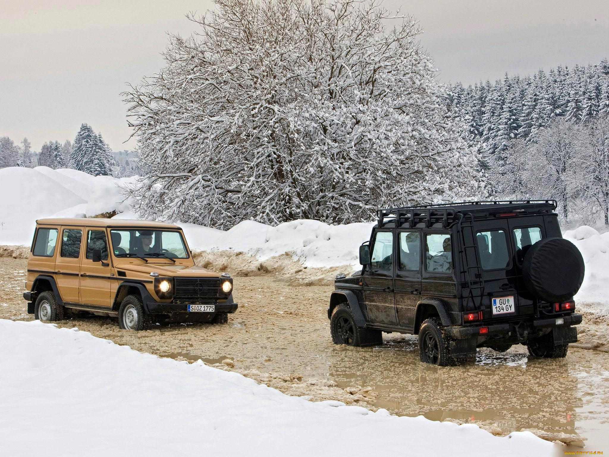 автомобили, mercedes, benz