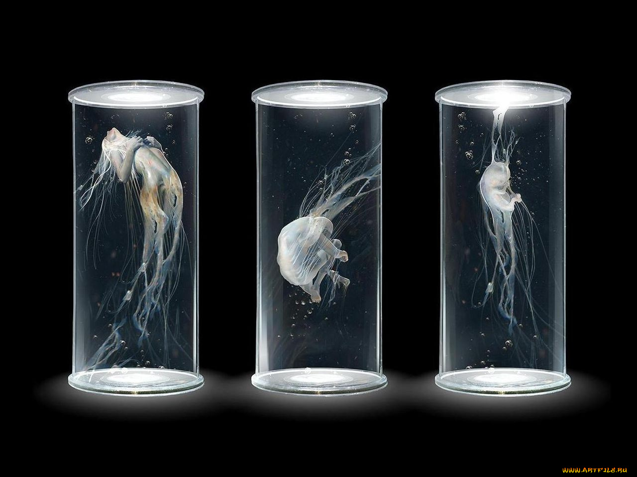 фэнтези, другое