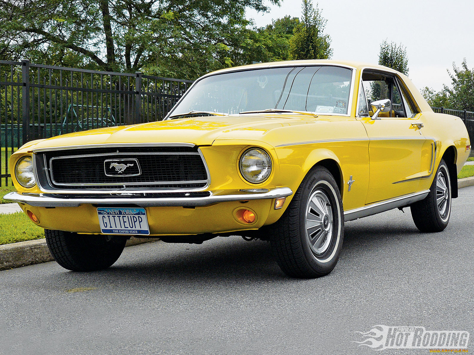 автомобили, mustang