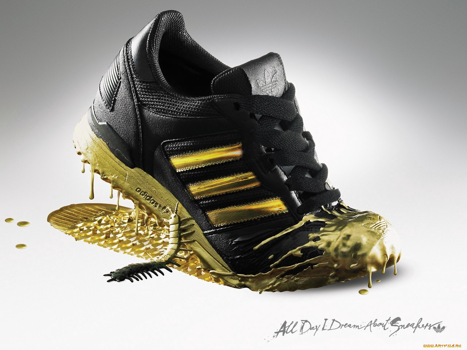 бренды, adidas, кроссовок, золото, сороконожка