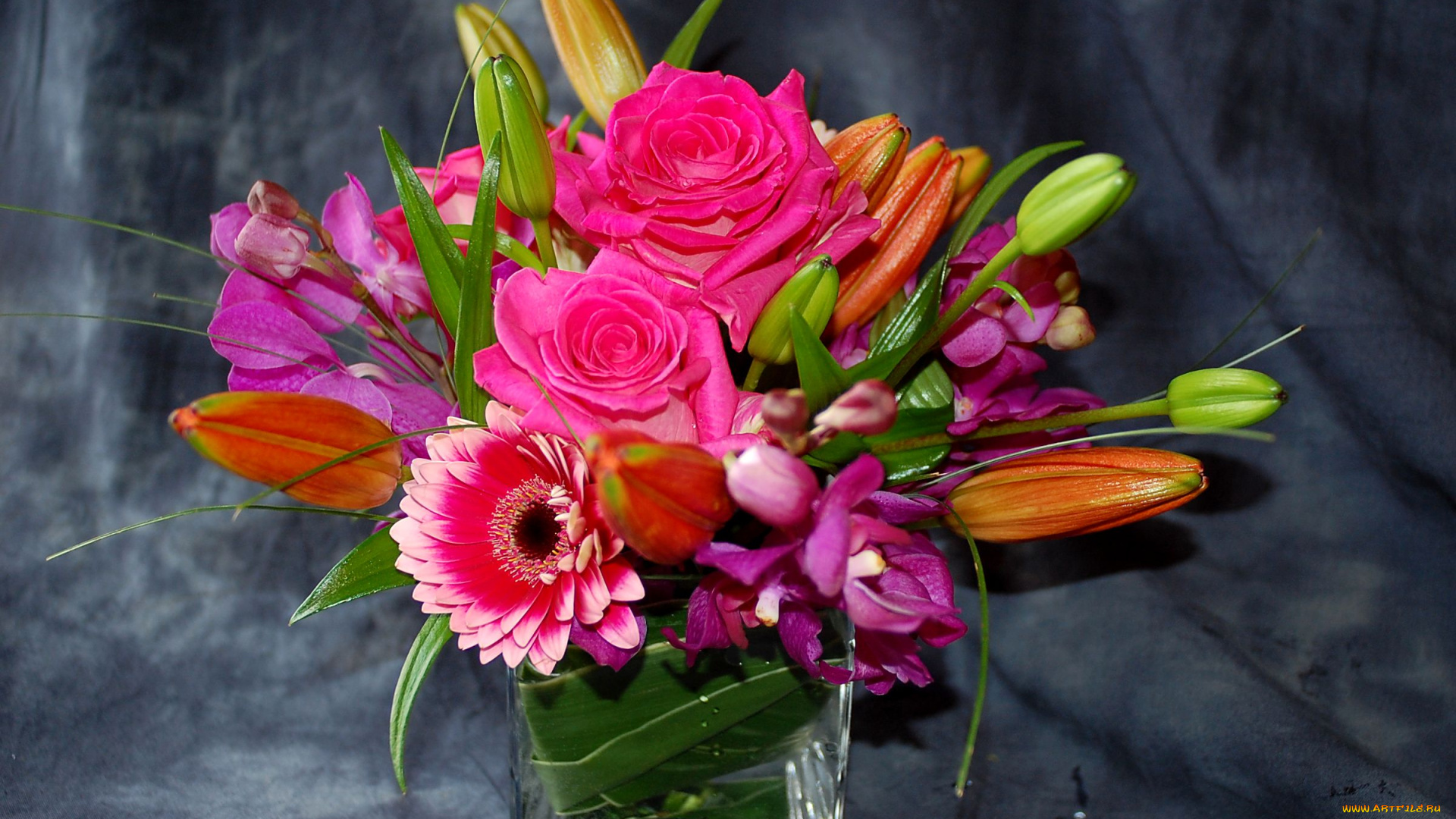 цветы, букеты, композиции, герберы, розы, лилии, орхидеи