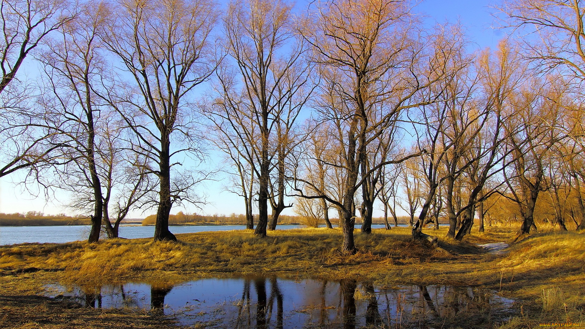природа, деревья, река, осень