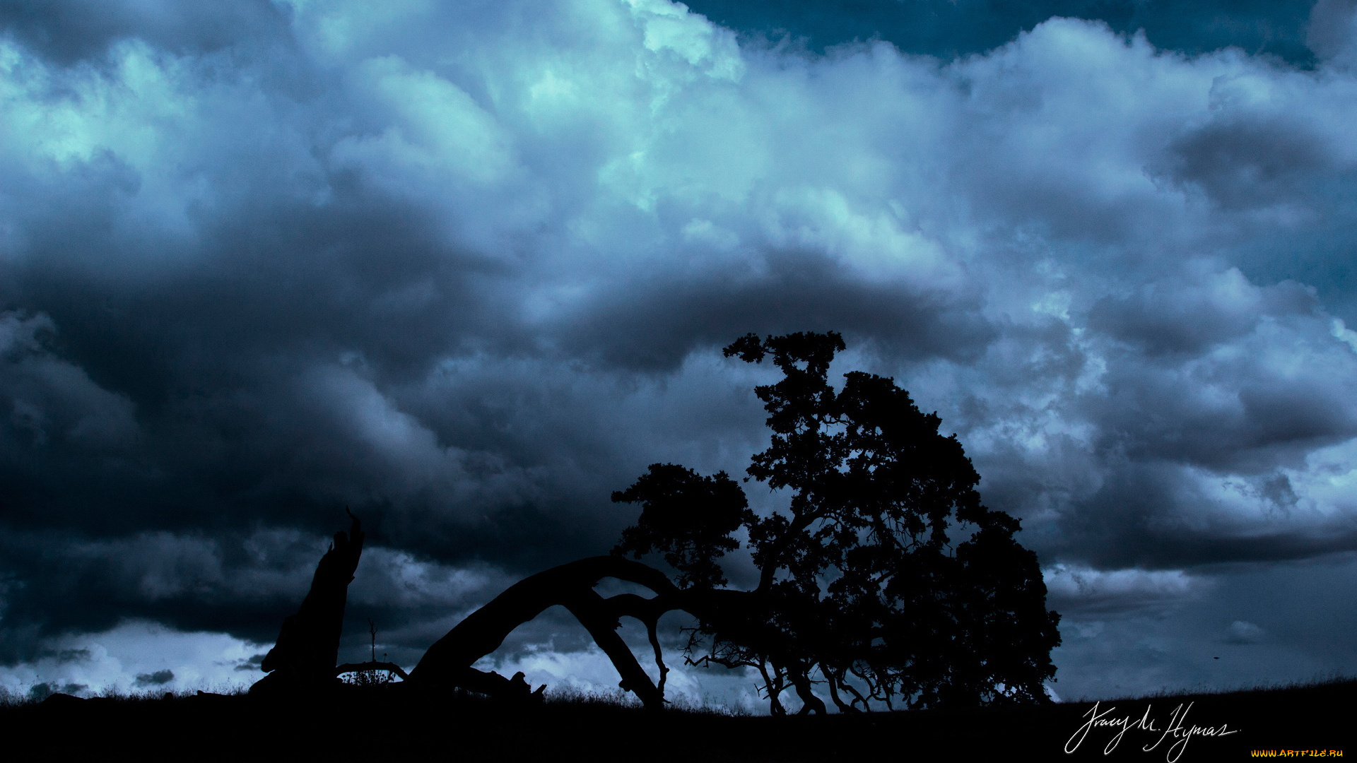 природа, деревья, вечер, тучи