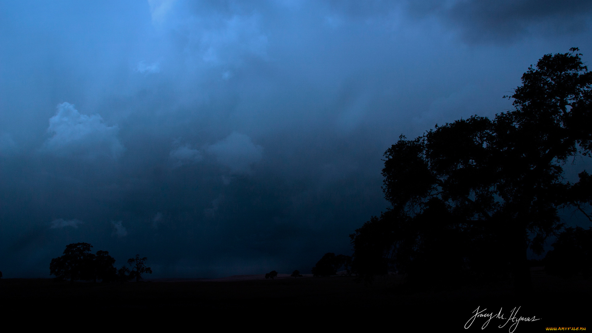 природа, деревья, вечер, тучи