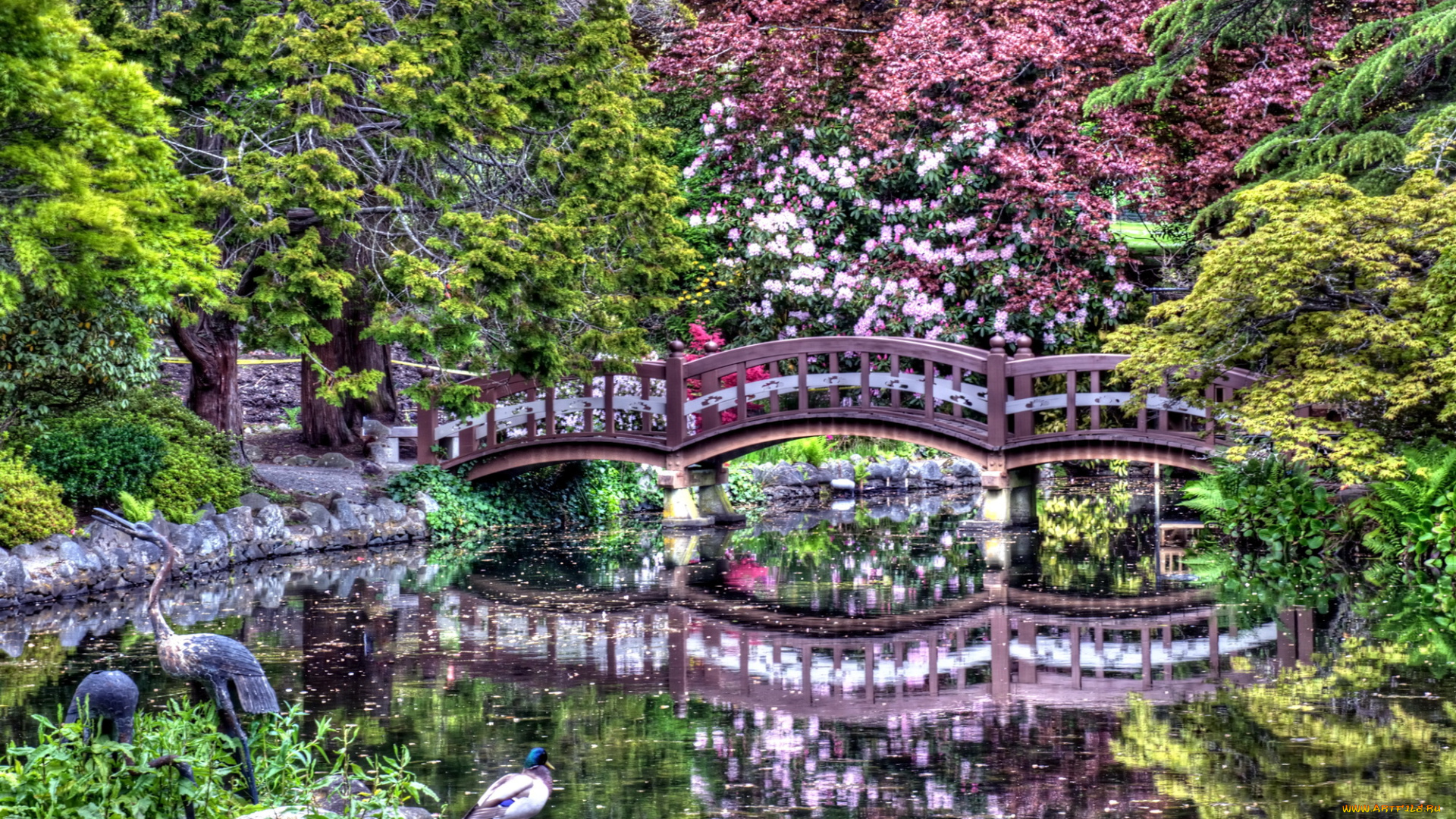 природа, парк, водоем, мостик, отражение, цветы