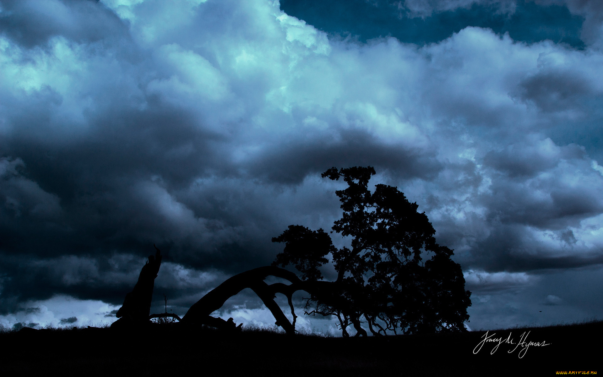 природа, деревья, вечер, тучи