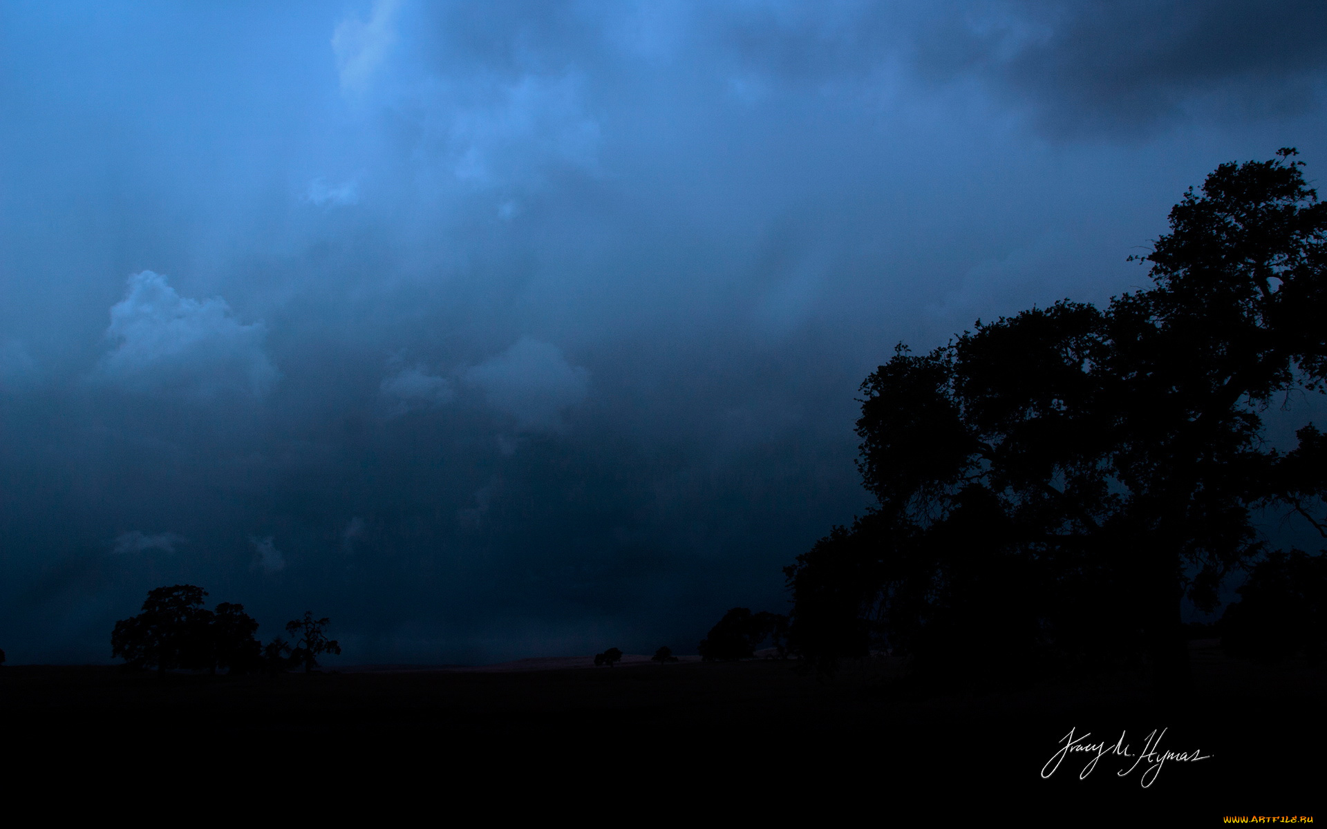 природа, деревья, вечер, тучи