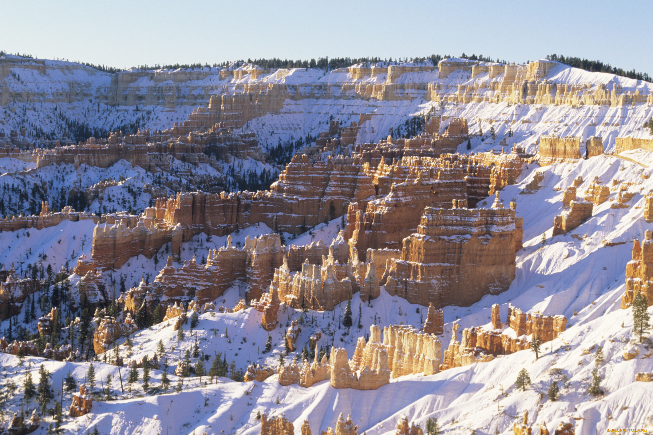 природа, горы, деревья, снег