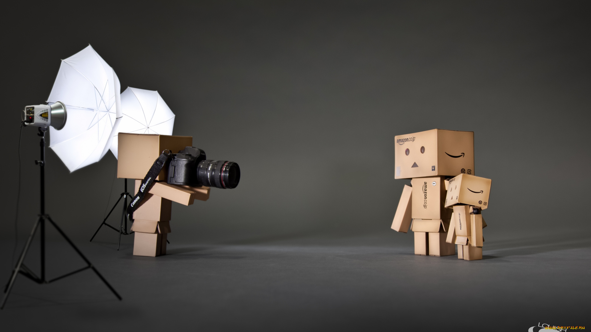 разное, данбо, danboard, фотограф