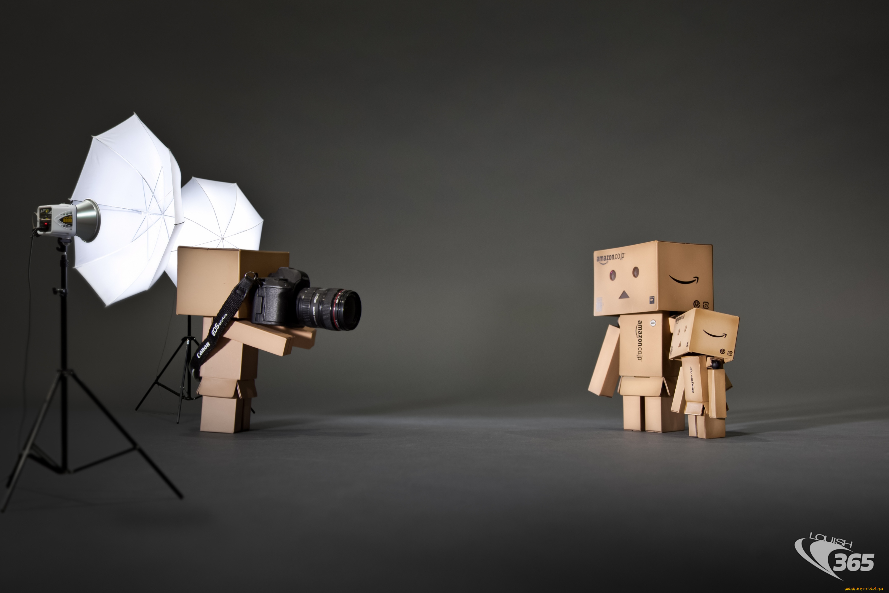 разное, данбо, danboard, фотограф