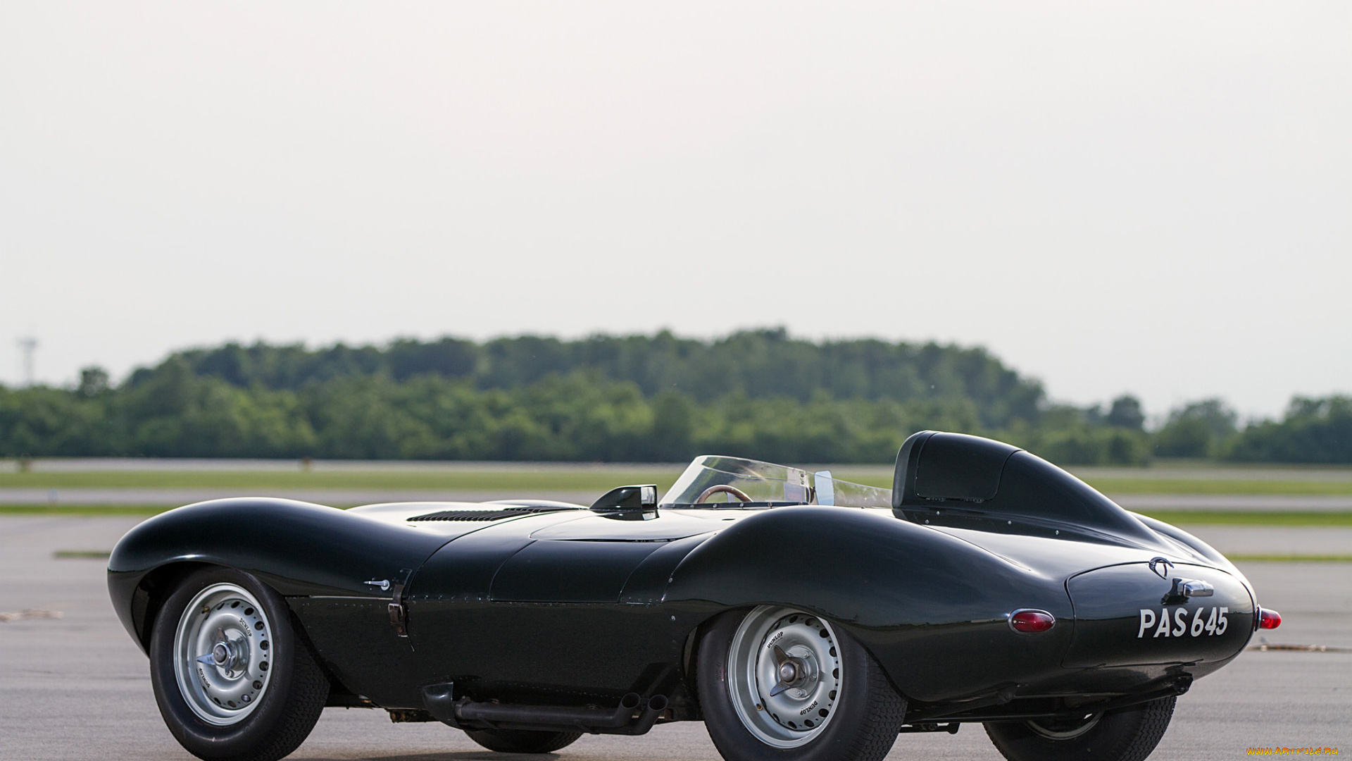1955, jaguar, d-type, автомобили, jaguar