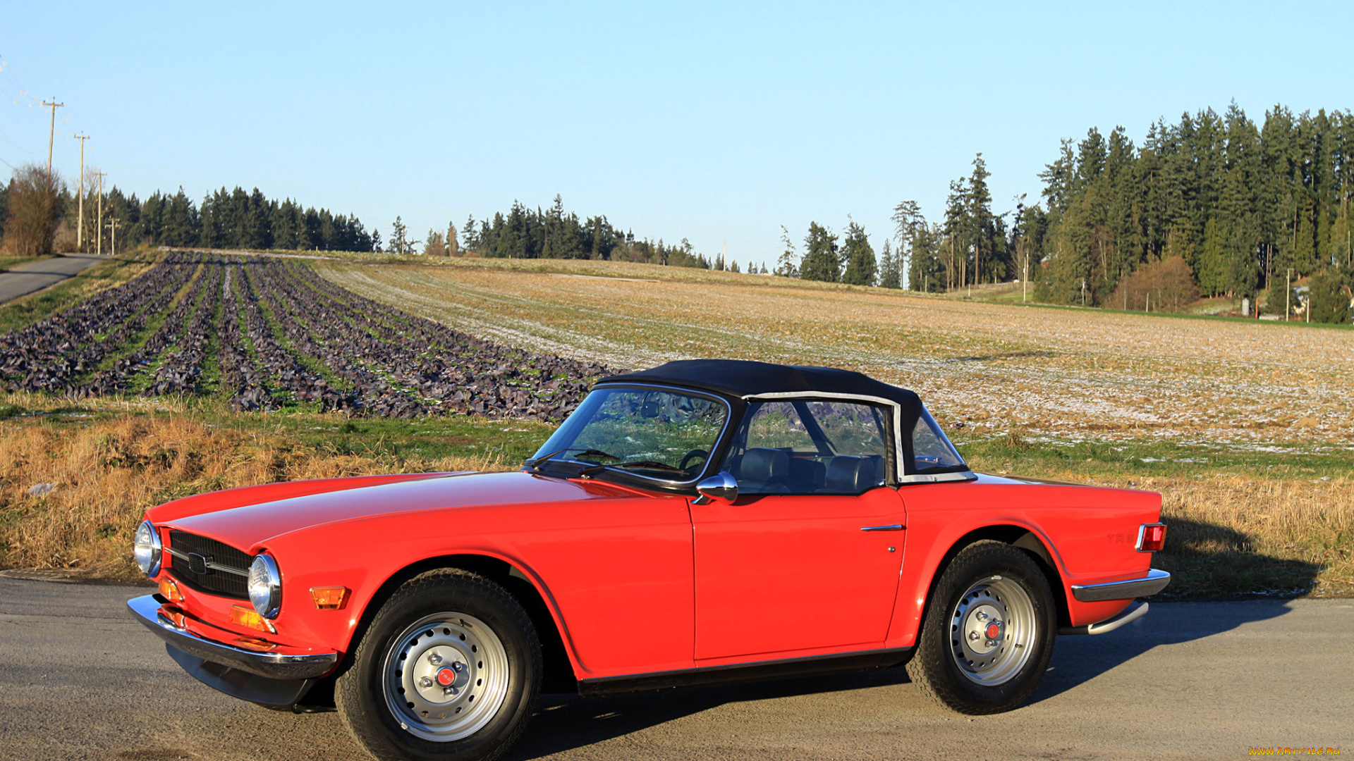 автомобили, triumph, tr6